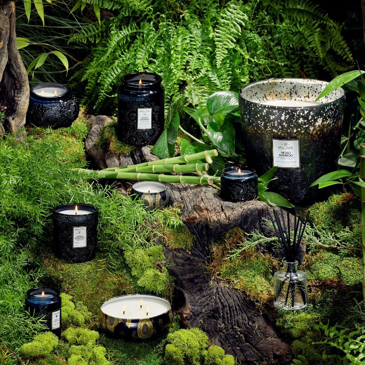 Lit Voluspa Moso Bamboo candles in a bamboo and moss forest scene, candle traditions from China alive today