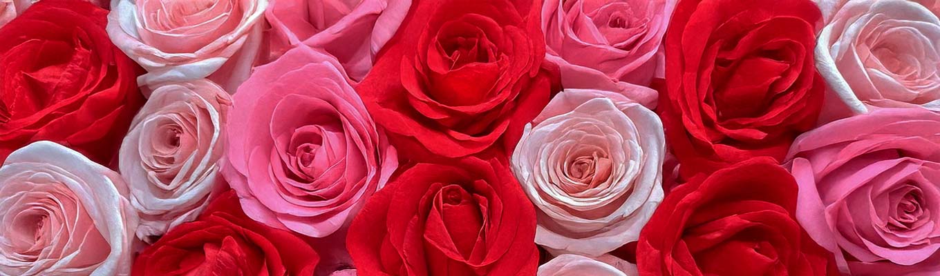 Rose Candles & Scents