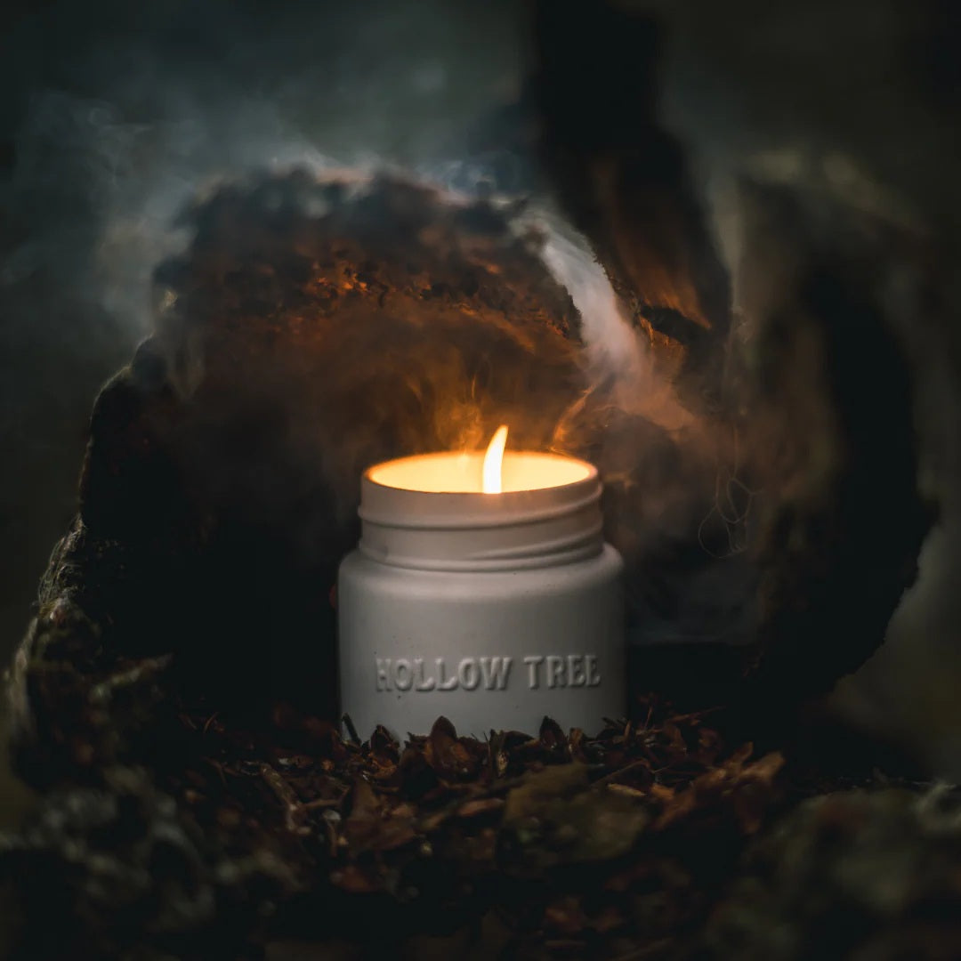 Hollow Tree - Trails End (Cedar Grove) Candle