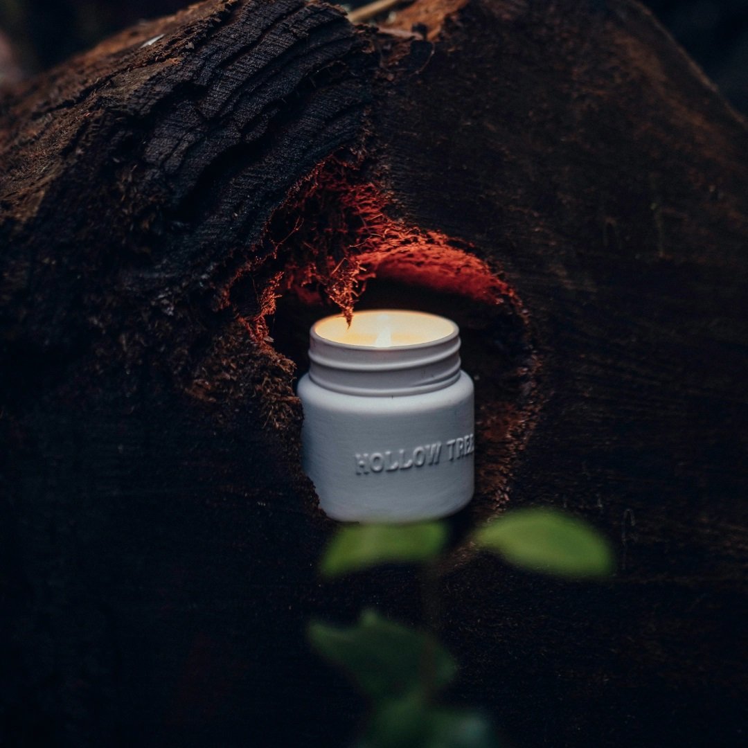 Hollow Tree - Hollow Tree (Cedar) Candle