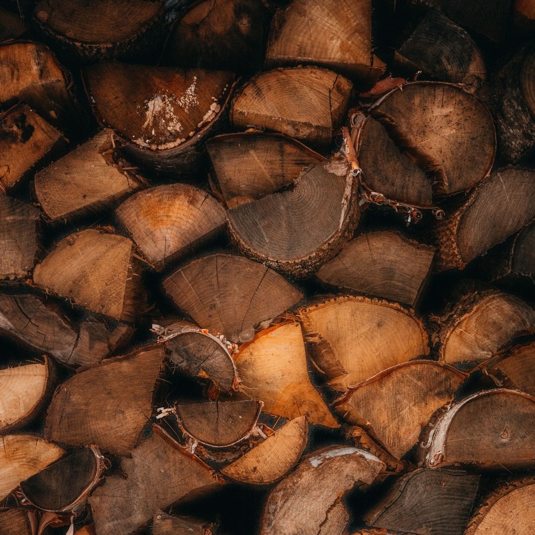 Hollow Tree - Lumberjack (Santal) Candle