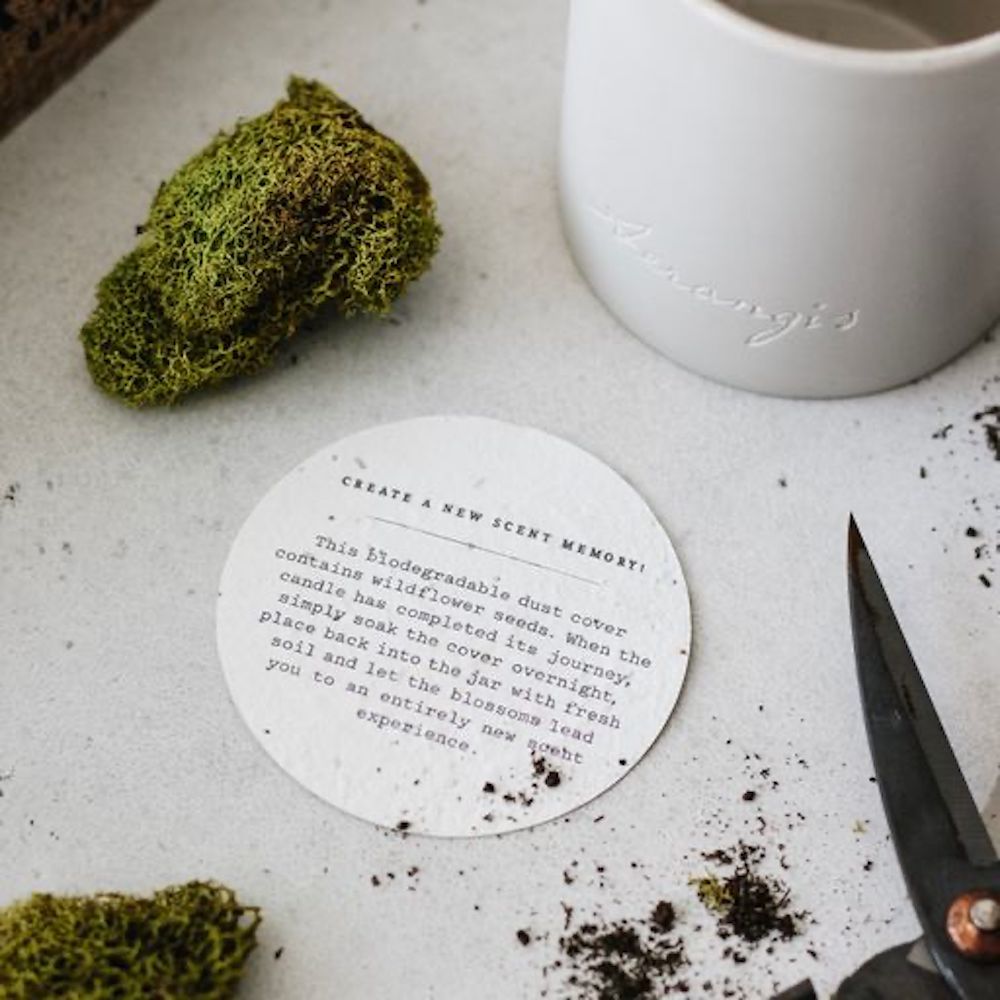 Aerangis - No. 2598 The Ranch Candle