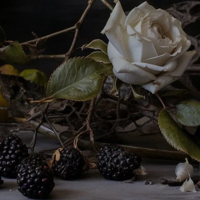 Adlan - Into the Briar Patch Petite Candle