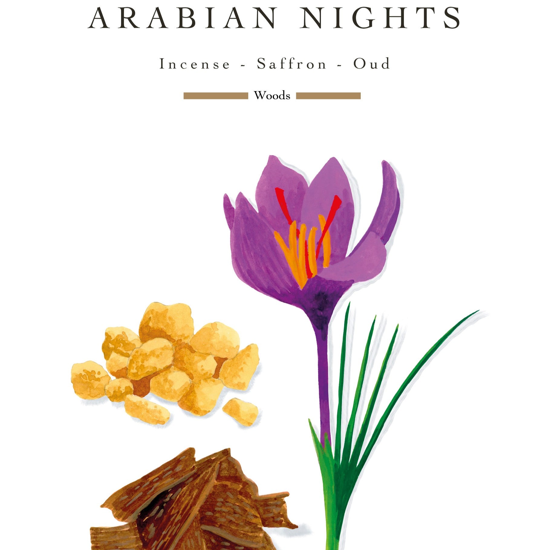 Baobab Collection - Arabian Nights Max24 Grande Candle