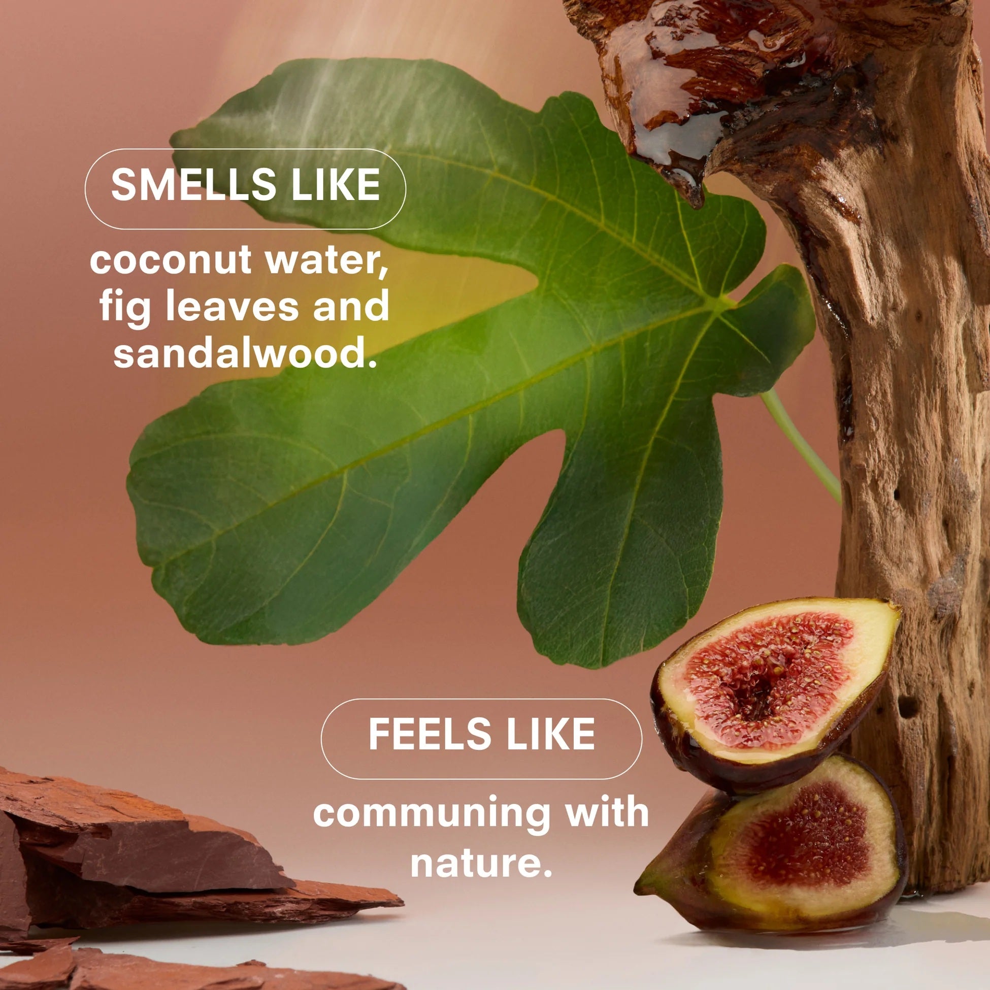 Boy Smells - Woodphoria Magnum Candle