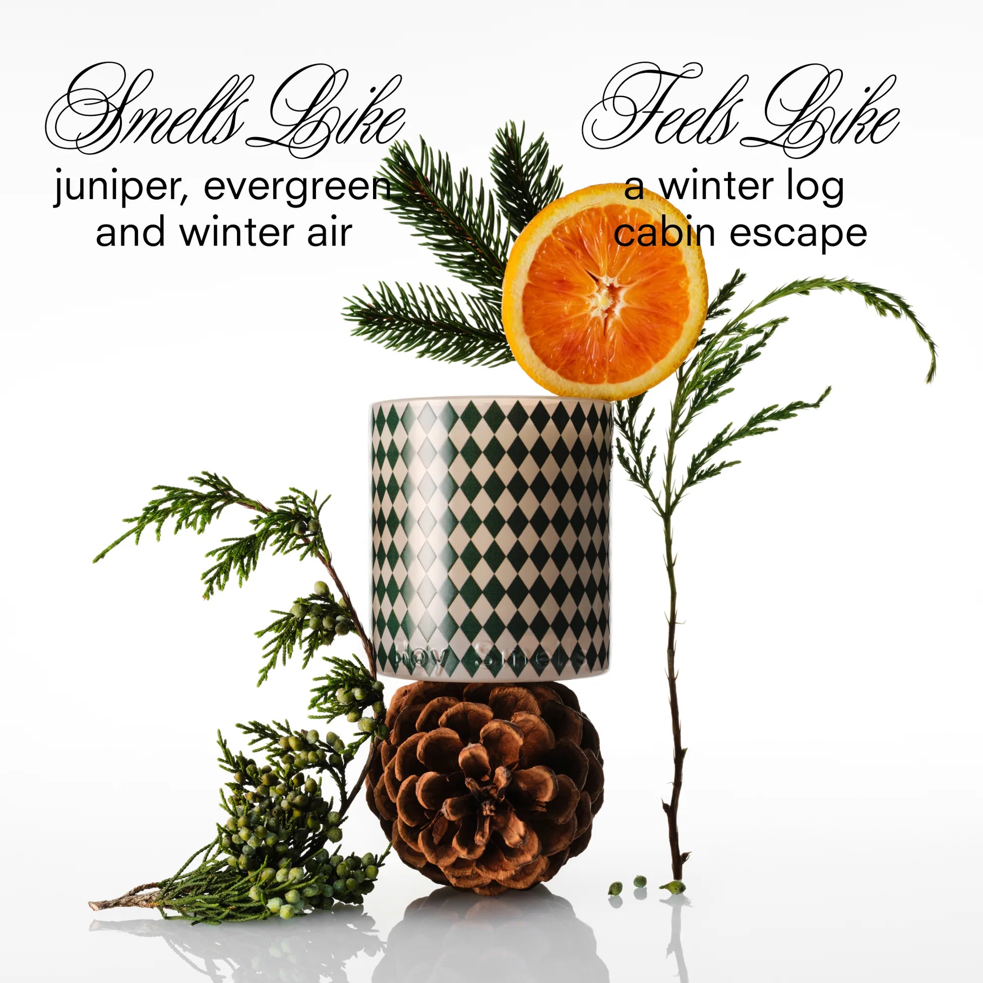 Boy Smells - XXMas Tree Holiday Candle