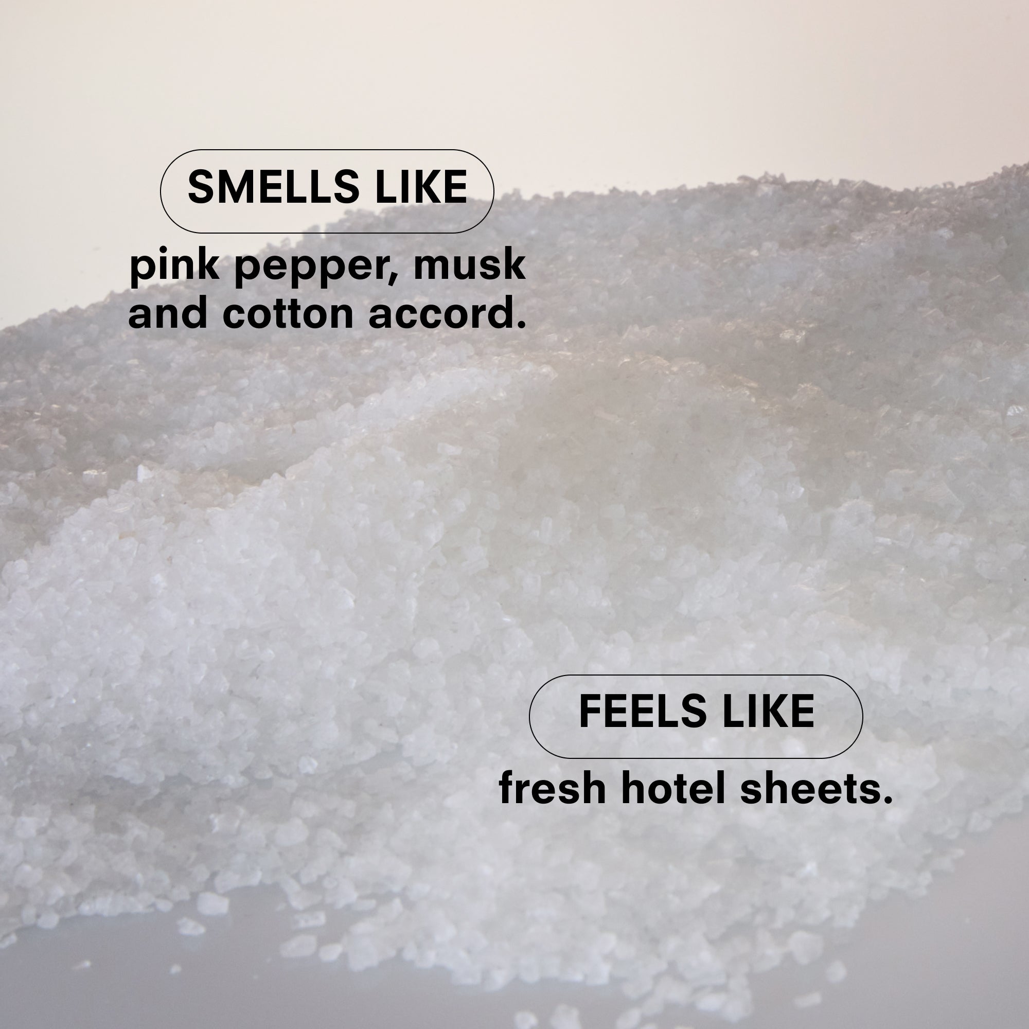 Boy Smells - Dynasty Salt Candle