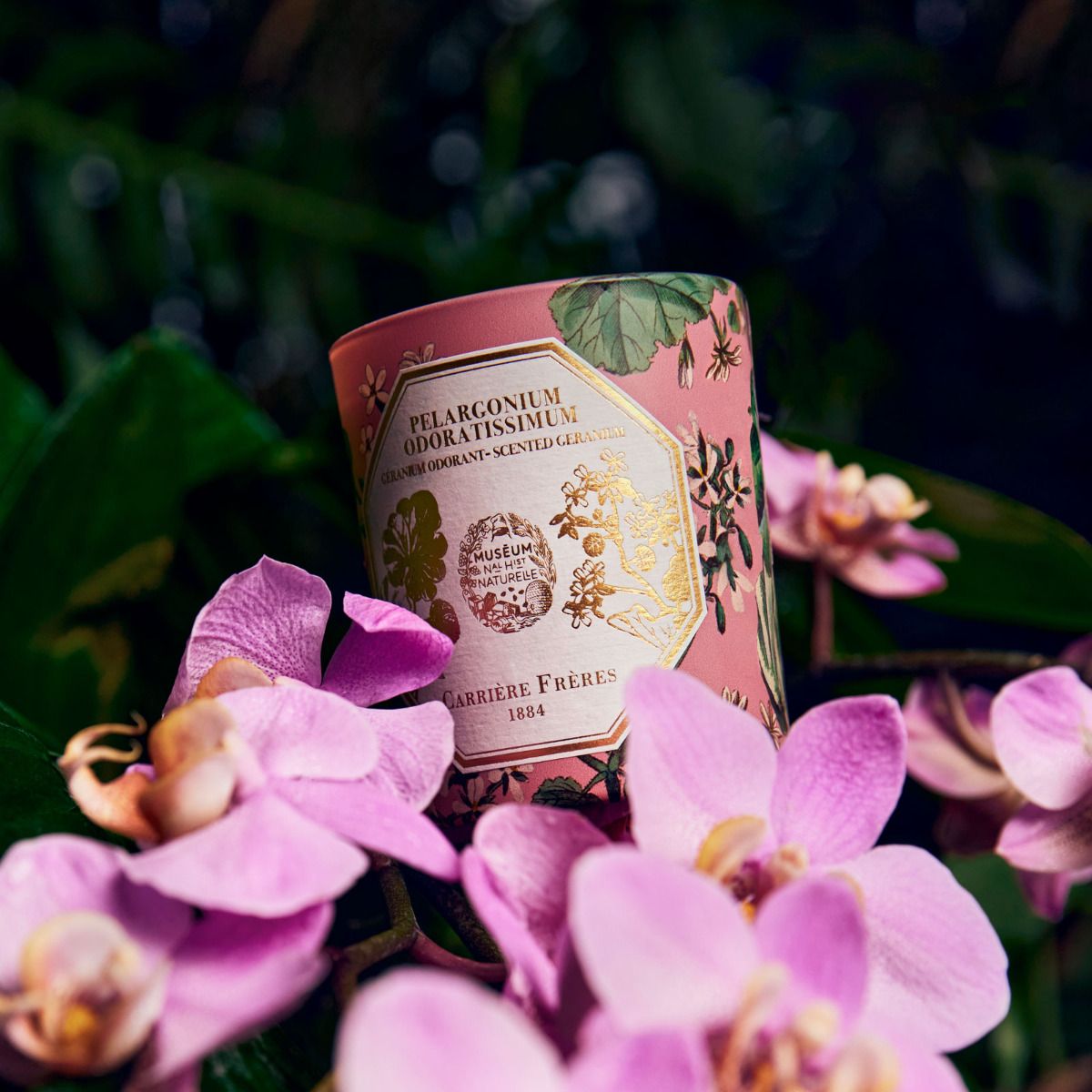 Carriere Freres - Geranium Candle