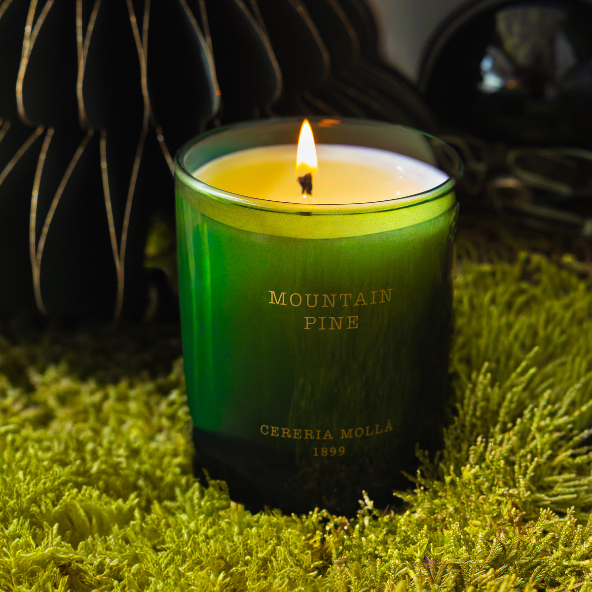 Cereria Molla - Mountain Pine Candle