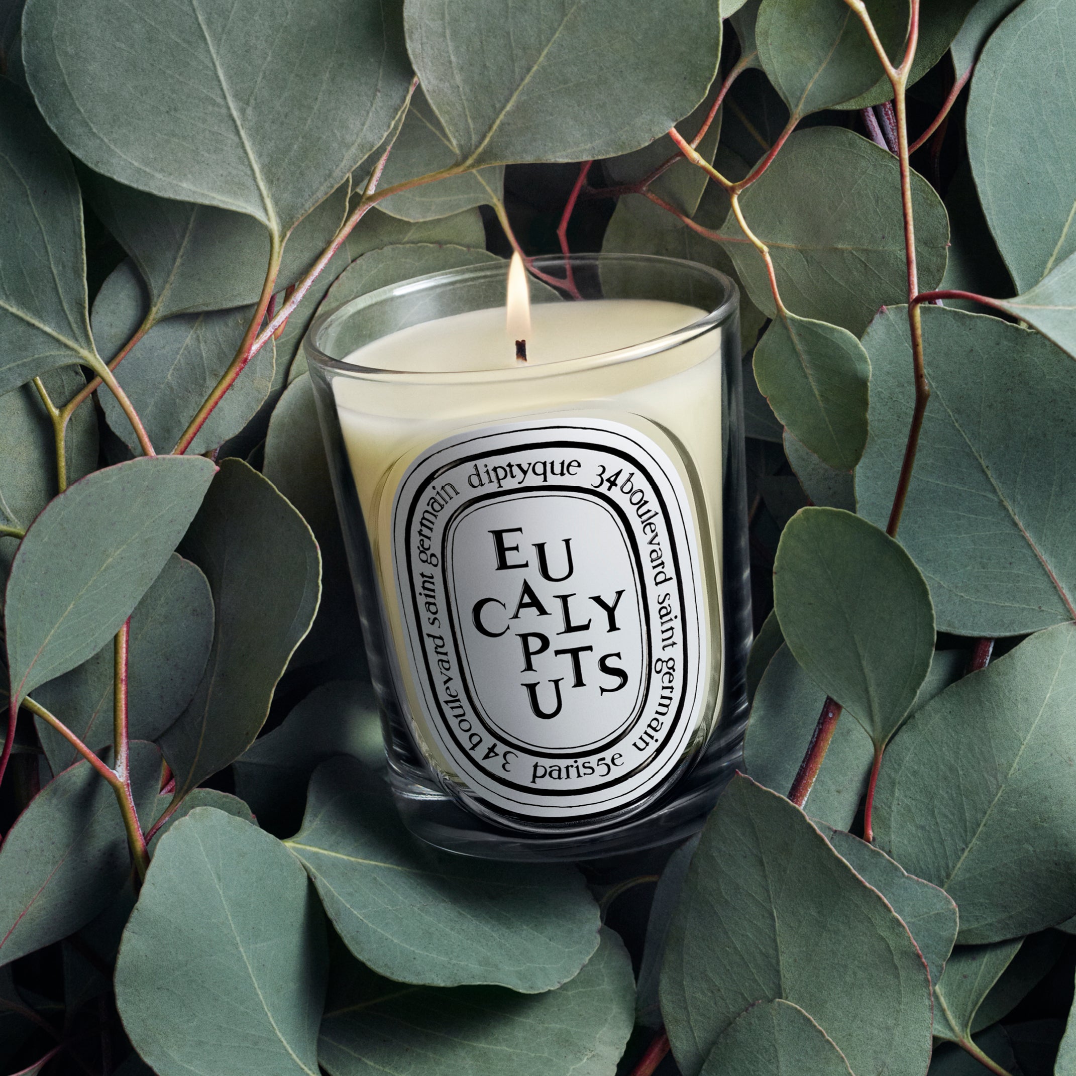 Diptyque - Eucalyptus Candle