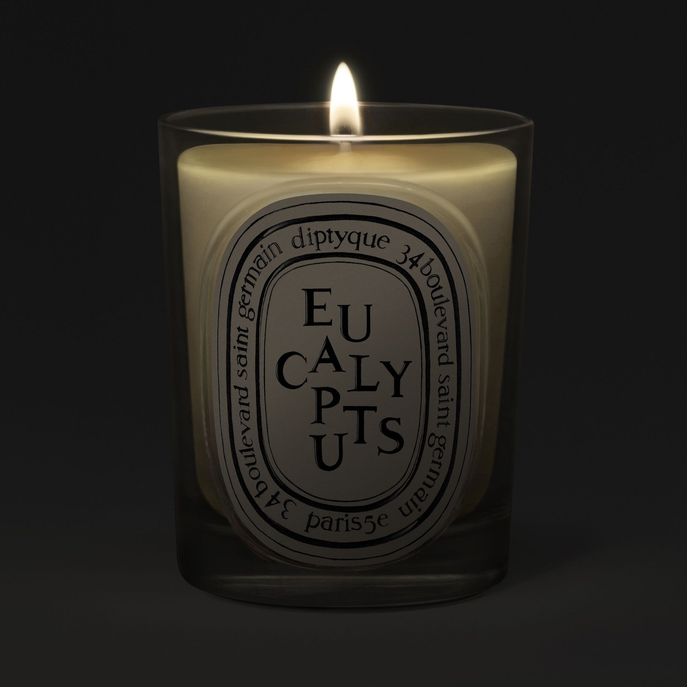 Diptyque - Eucalyptus Candle