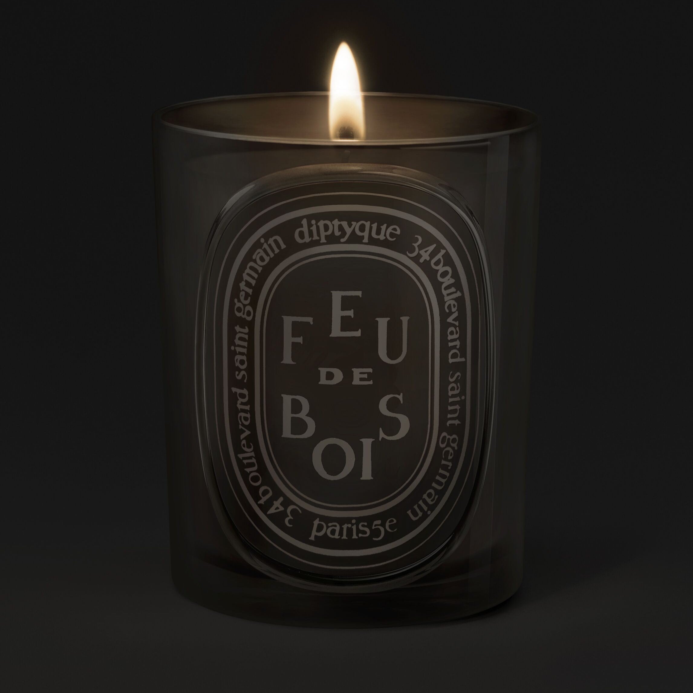 Diptyque - Feu de Bois Candle 300g (Wood Fire)