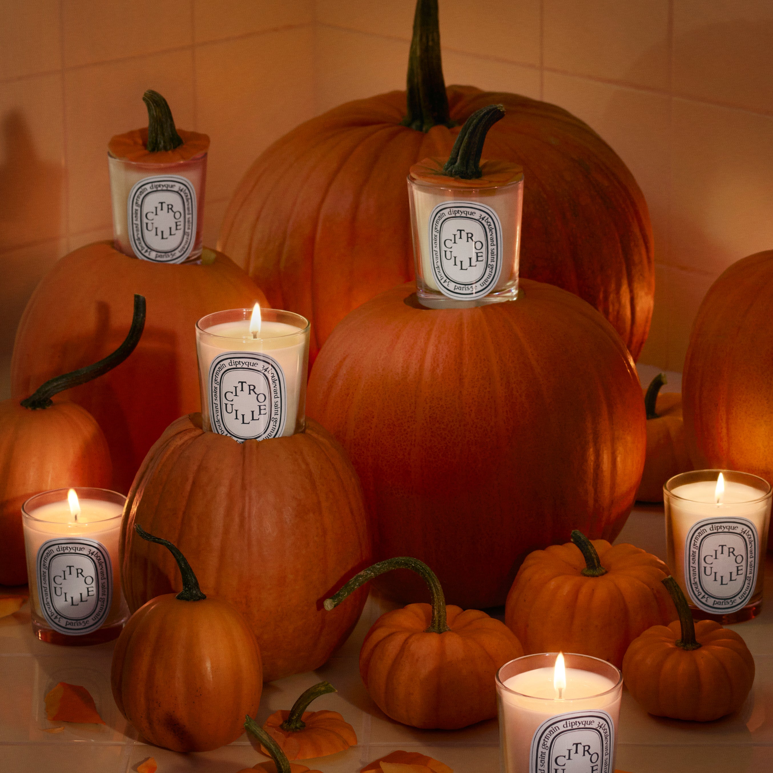 Diptyque - Citrouille (Pumpkin) Candle