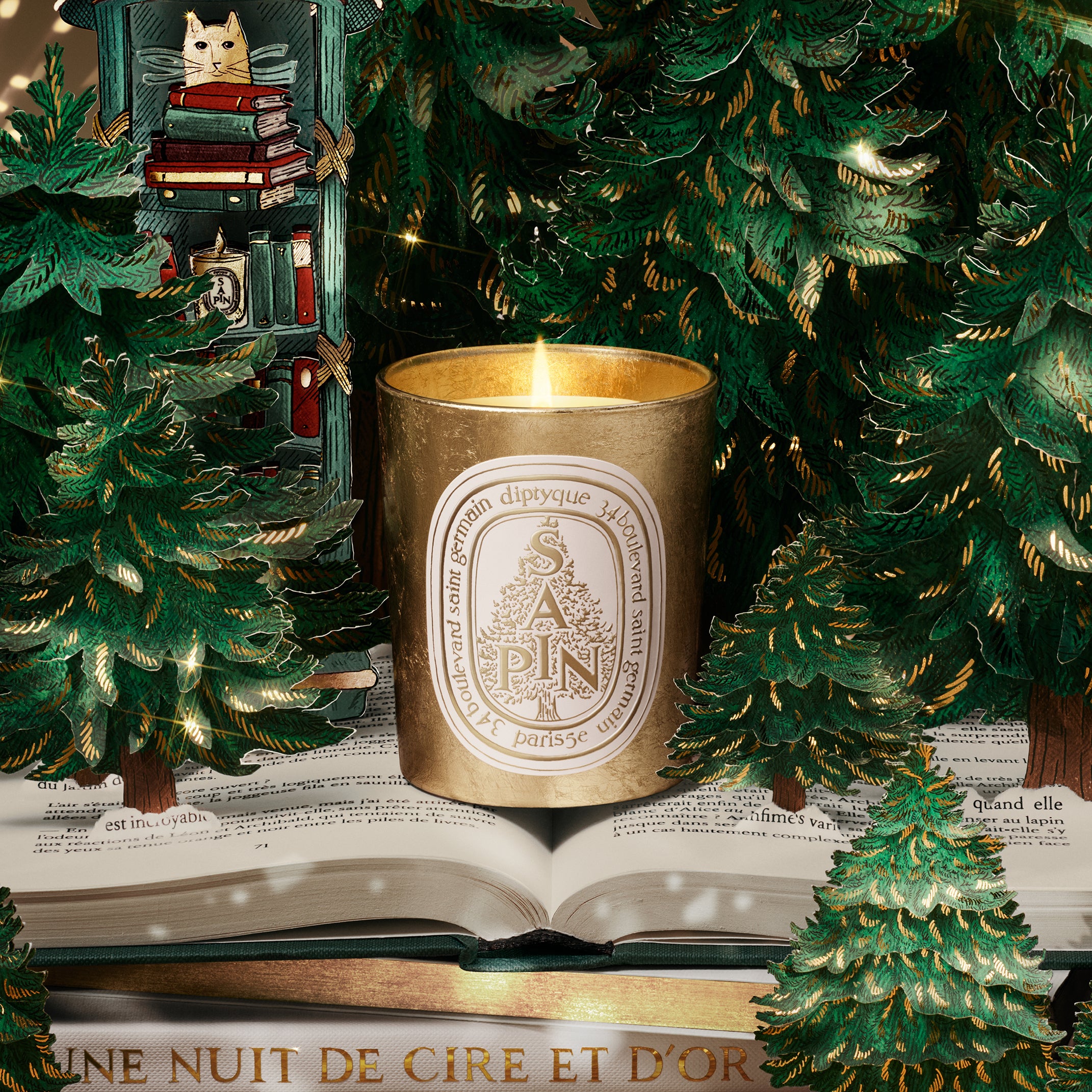 Diptyque - Sapine Candle (Pine Tree)