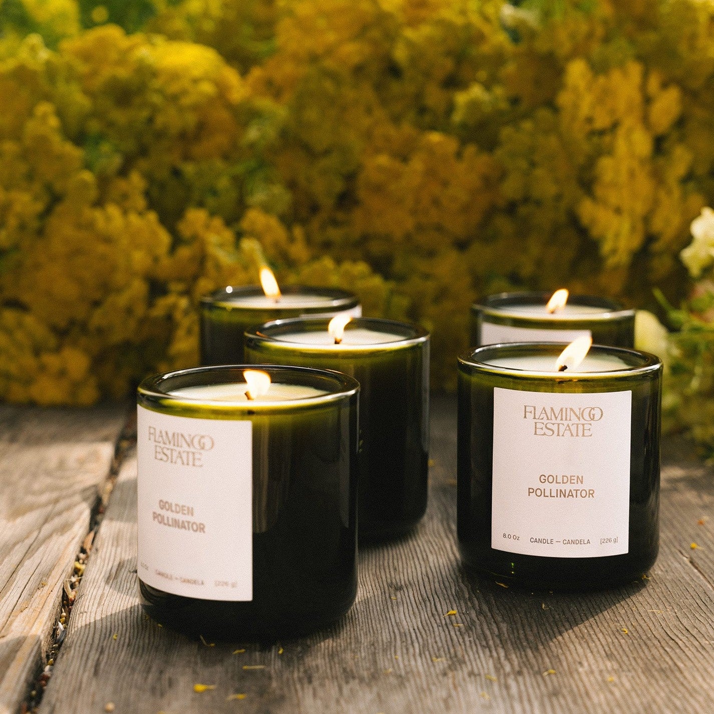 Flamingo Estate - Golden Pollinator Candle