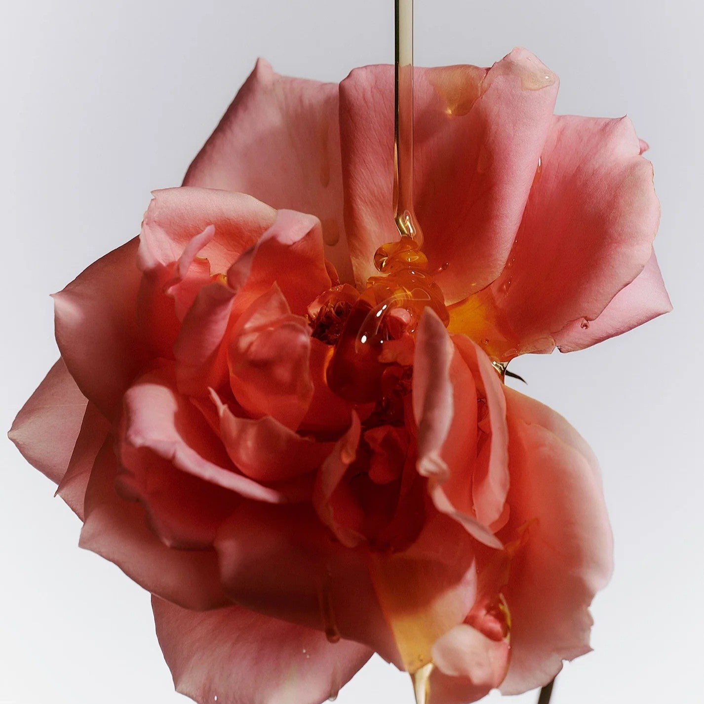 Flamingo Estate - Jasmine Damask Rose Glass Hand Soap