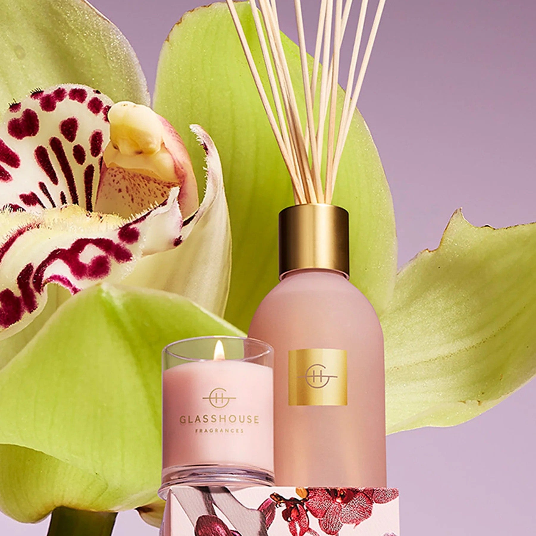 Glasshouse - Radiance in Bloom Diffuser