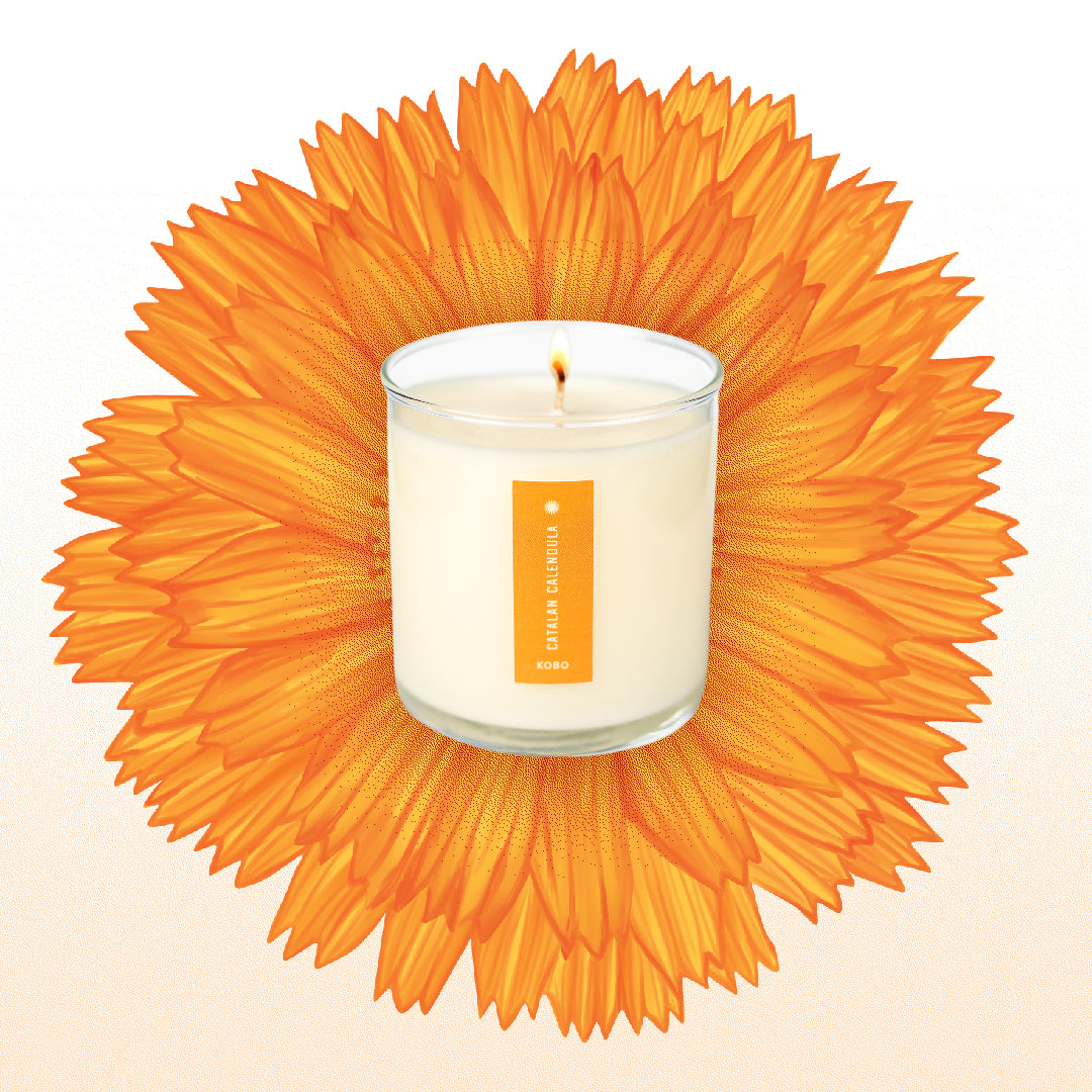 Kobo - Plant the Box Catalan Calendula Candle