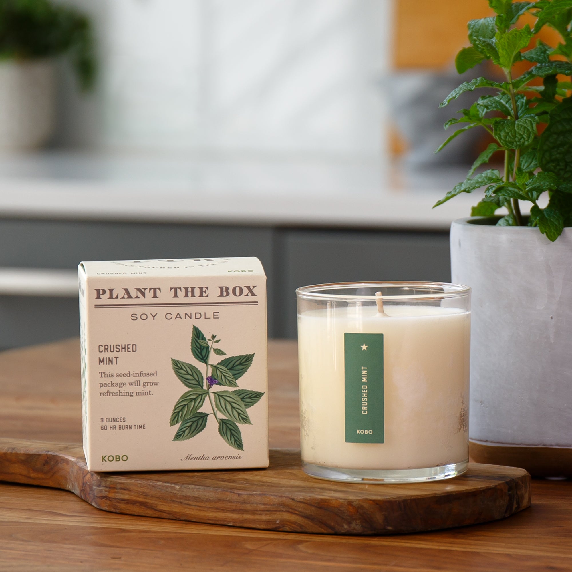 Kobo - Plant the Box Crushed Mint Candle