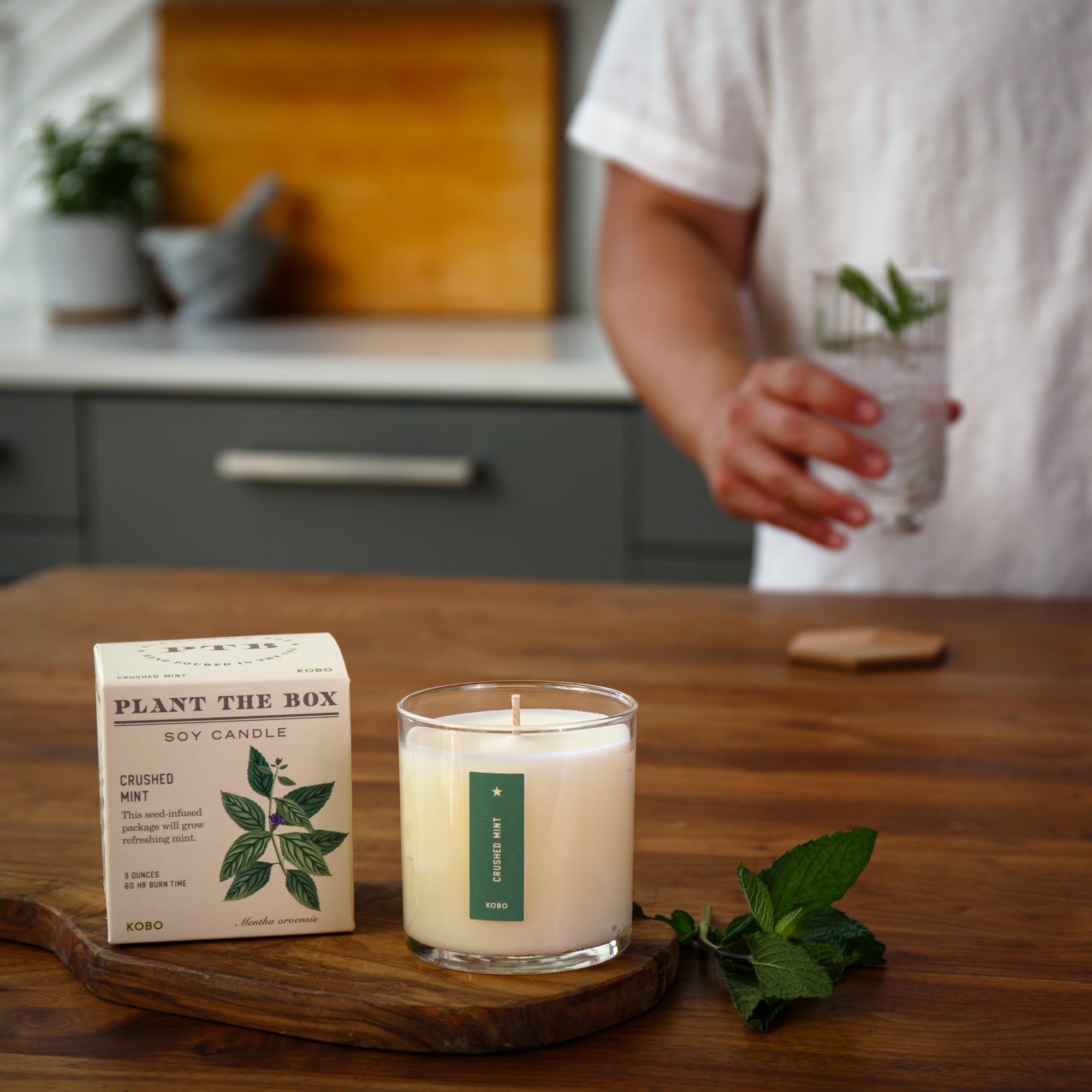 Kobo - Plant the Box Crushed Mint Candle