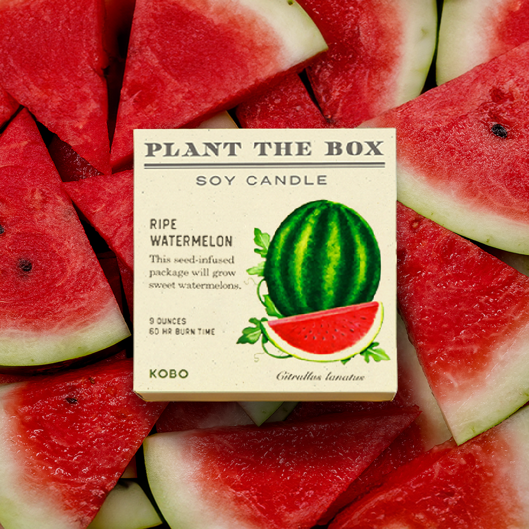 Kobo - Plant the Box Ripe Watermelon Candle