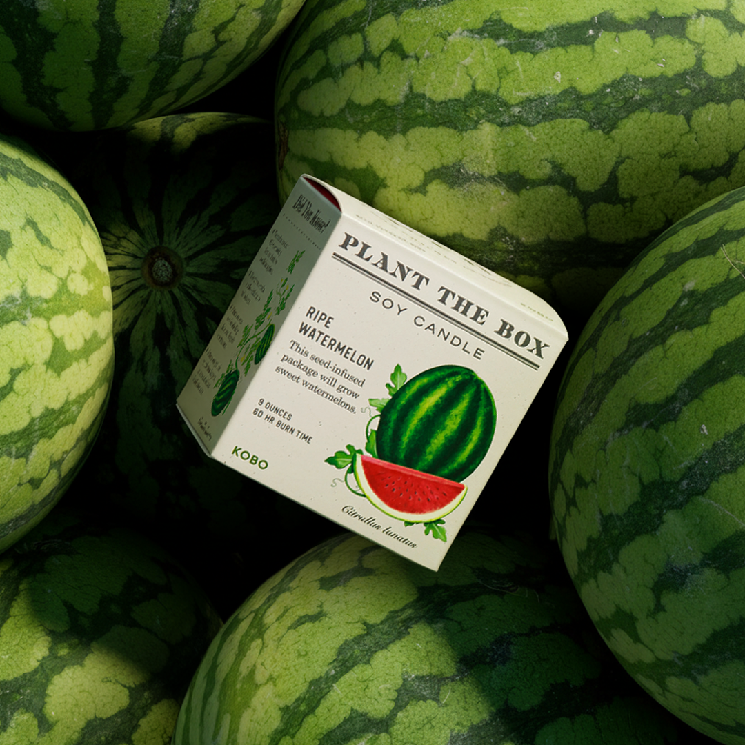 Kobo - Plant the Box Ripe Watermelon Candle