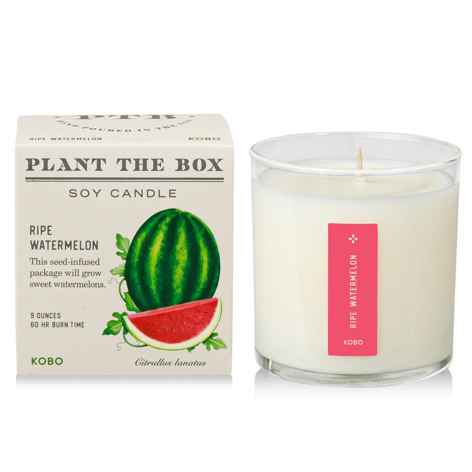 Kobo - Plant the Box Ripe Watermelon Candle