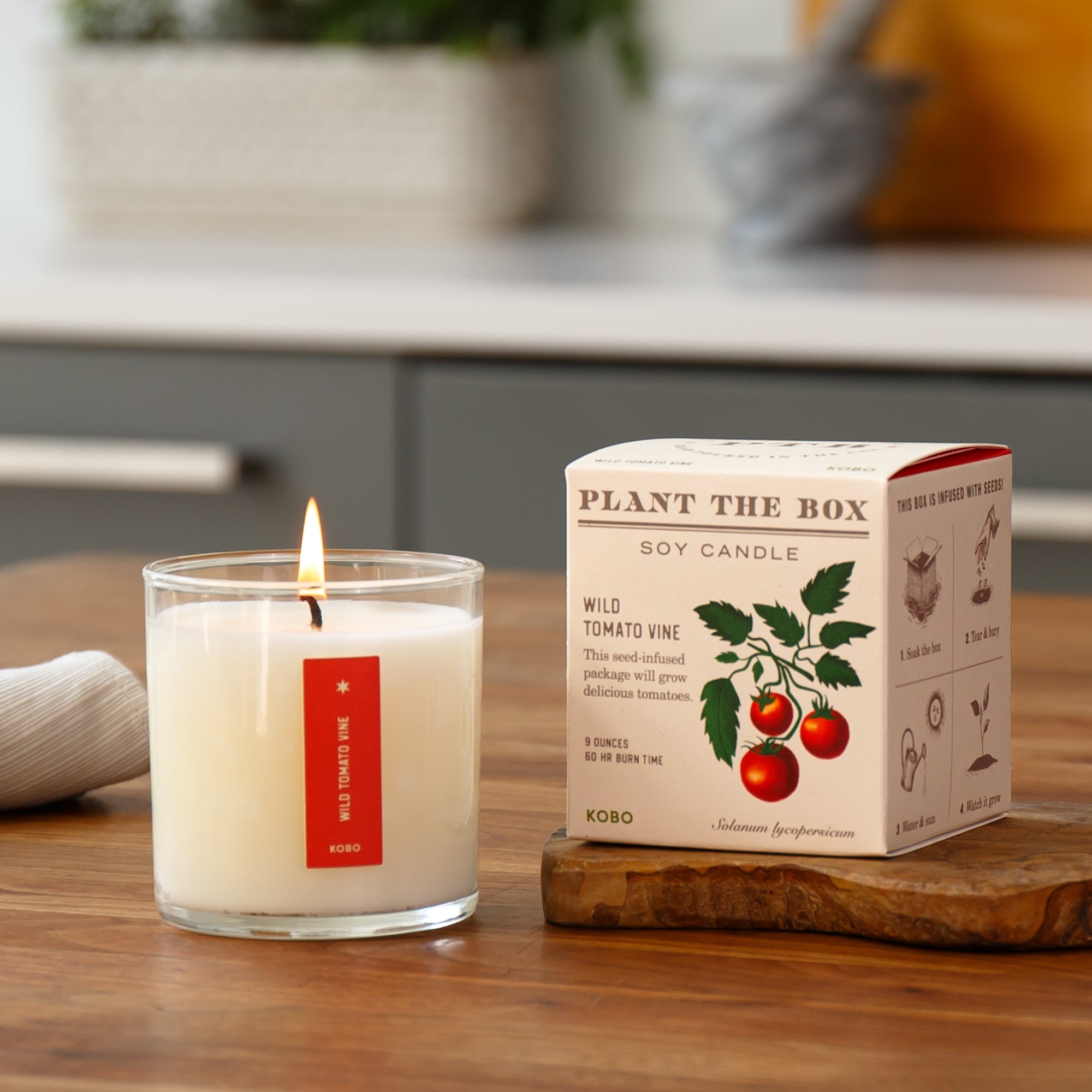 Kobo - Plant the Box Wild Tomato Vine Candle