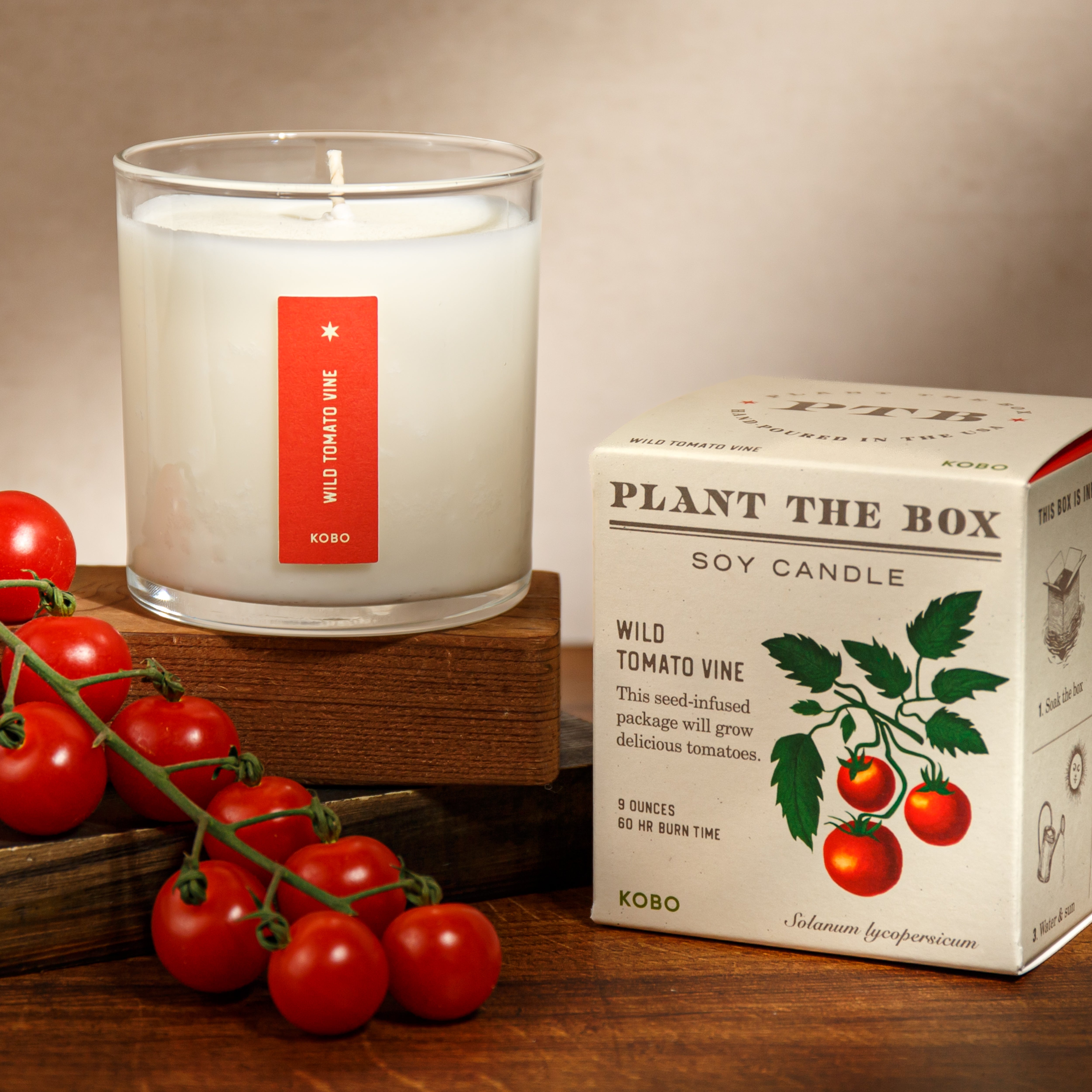 Kobo - Plant the Box Wild Tomato Vine Candle