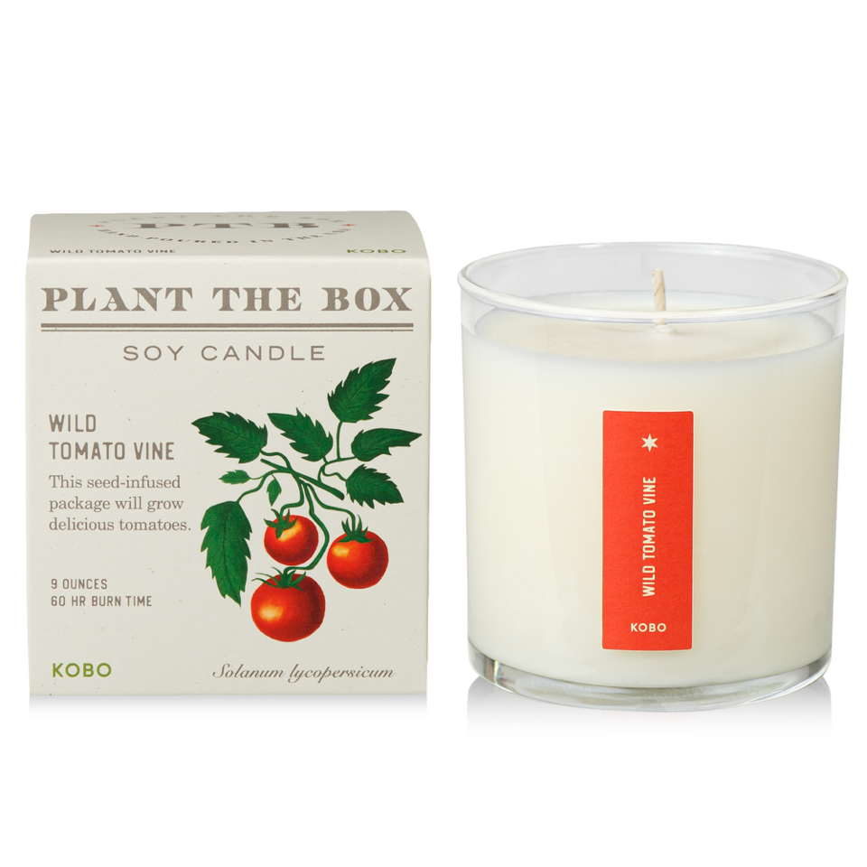 Kobo - Plant the Box Wild Tomato Vine Candle