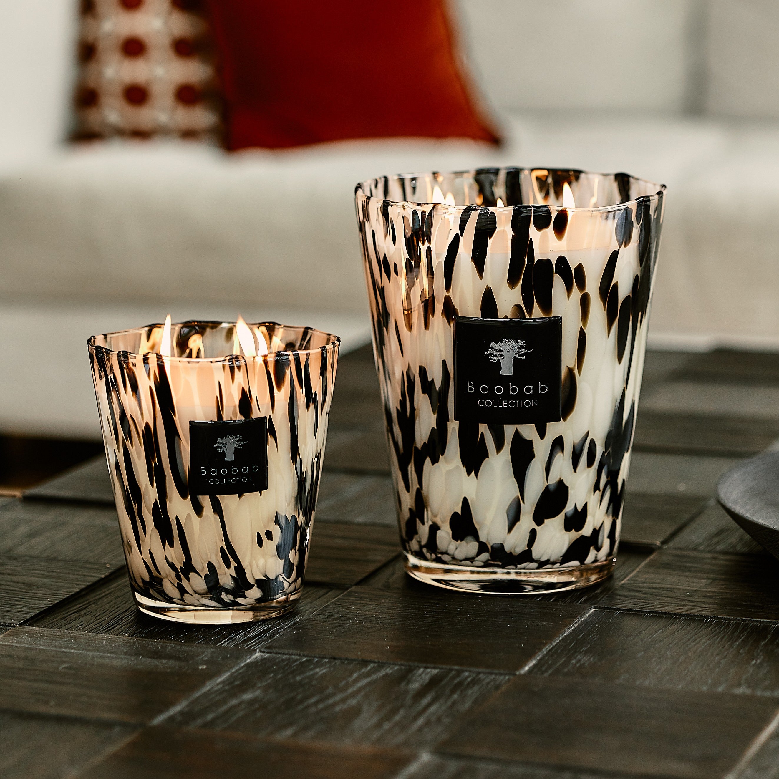 Baobab Collection - Black Pearls Max16 Signature Candle