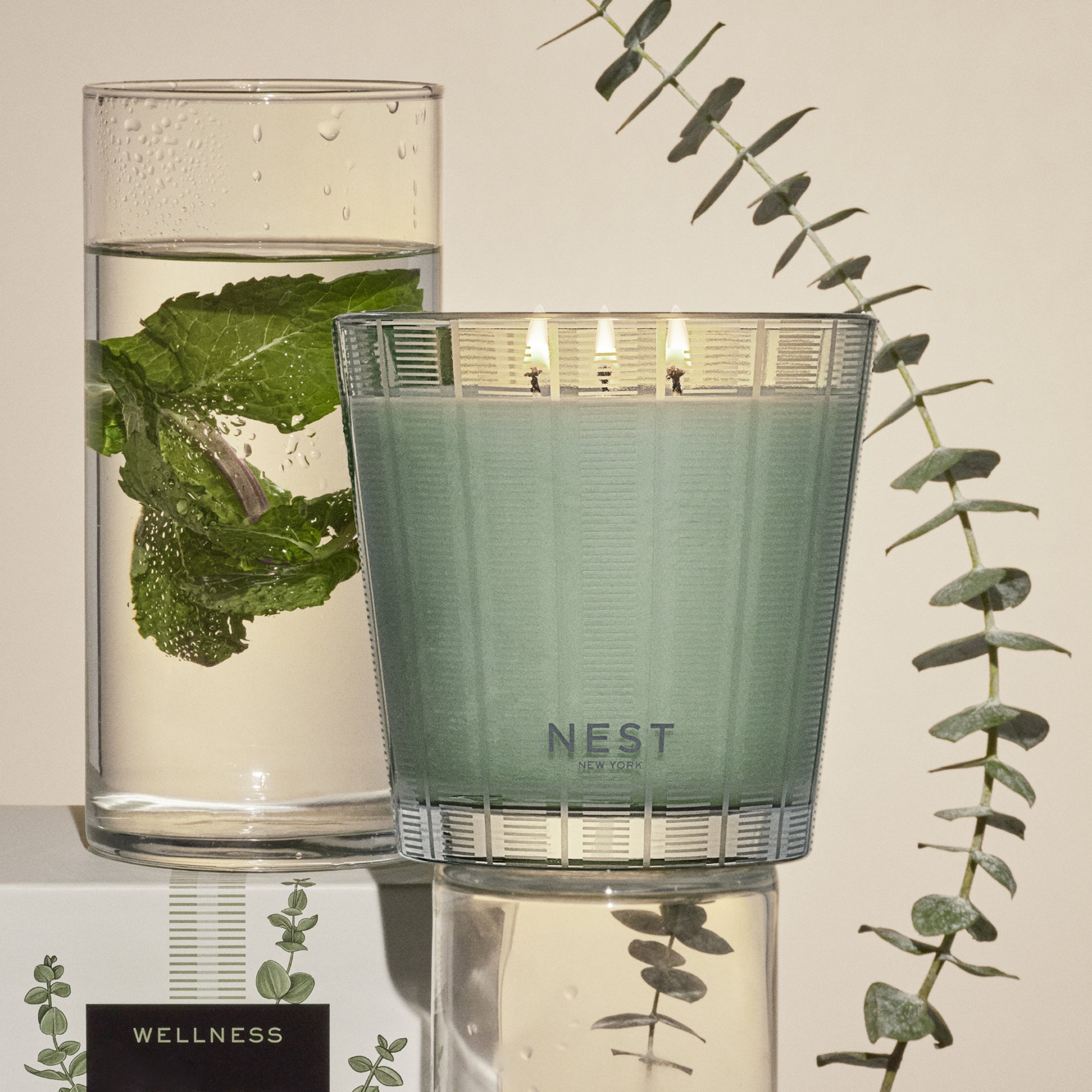 Nest - Wild Mint & Eucalyptus 3 Wick Candle