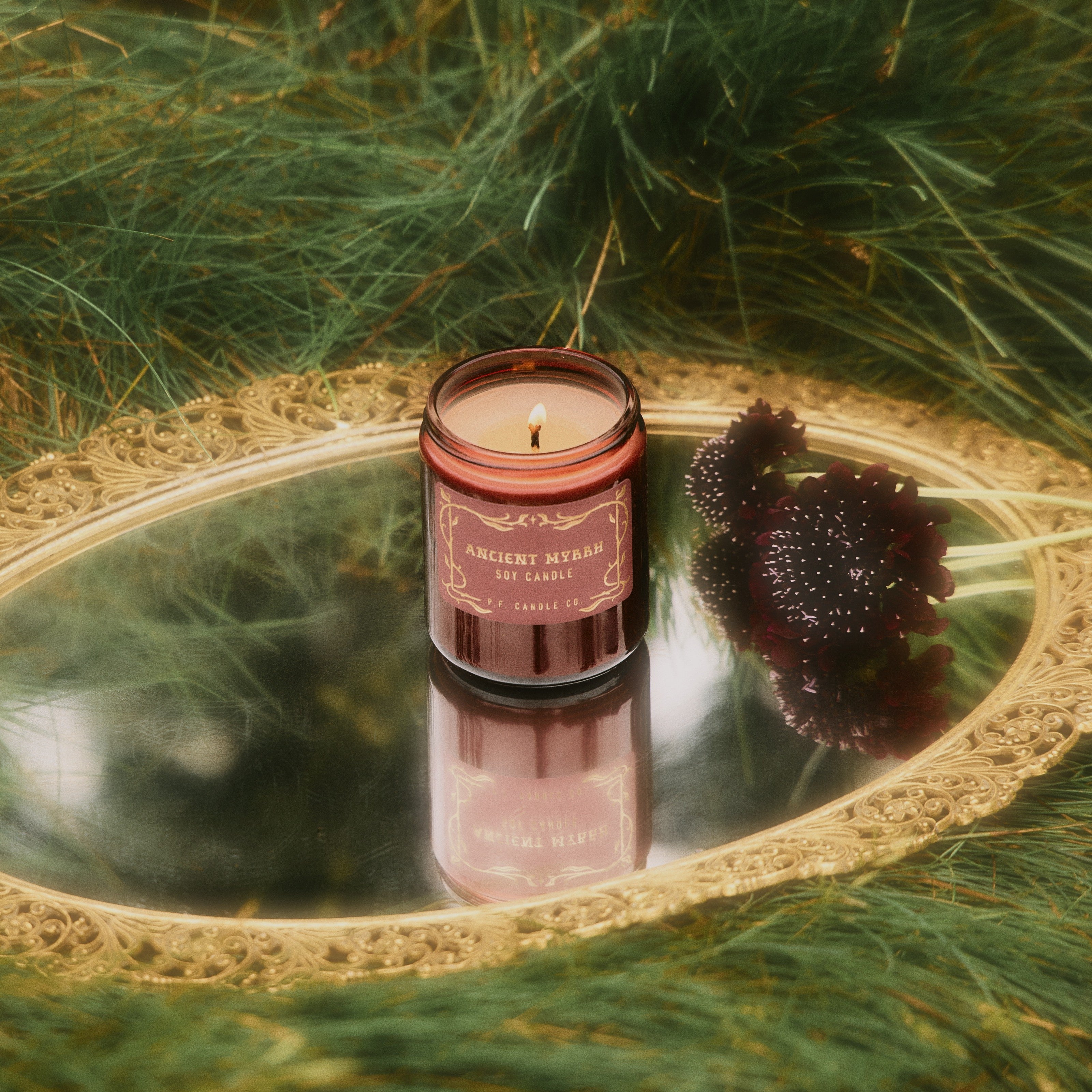 P.F. Candle Co. - Ancient Myrrh Candle