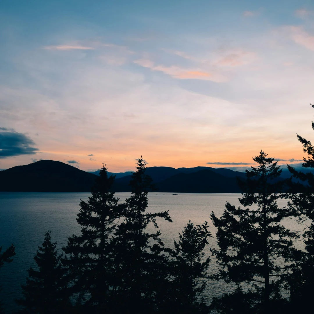 Hollow Tree - Sea to Sky Candle