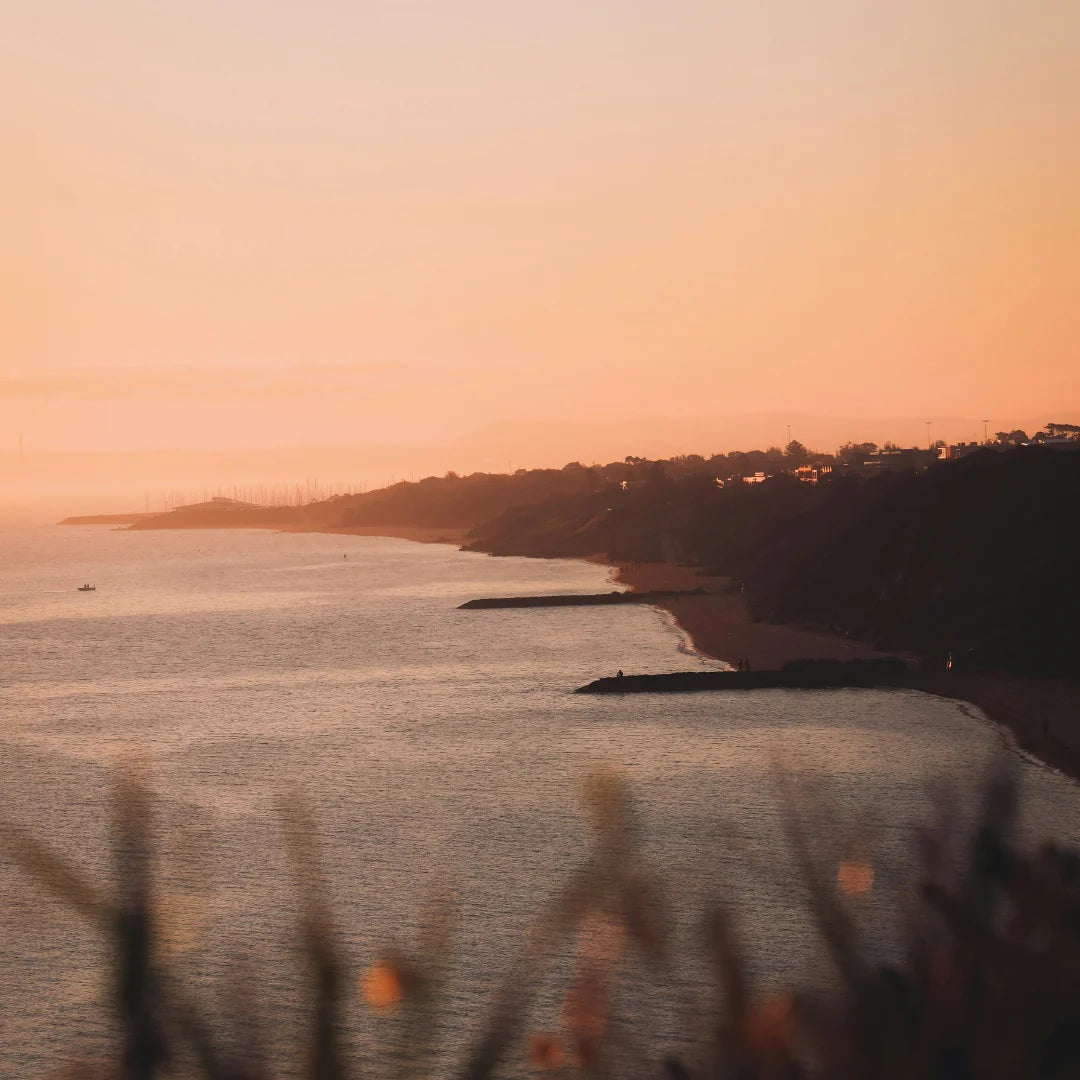 Hollow Tree - Summer Daze Candle