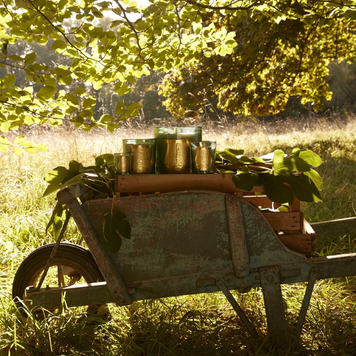 Trudon - Figuerie Petite Candle