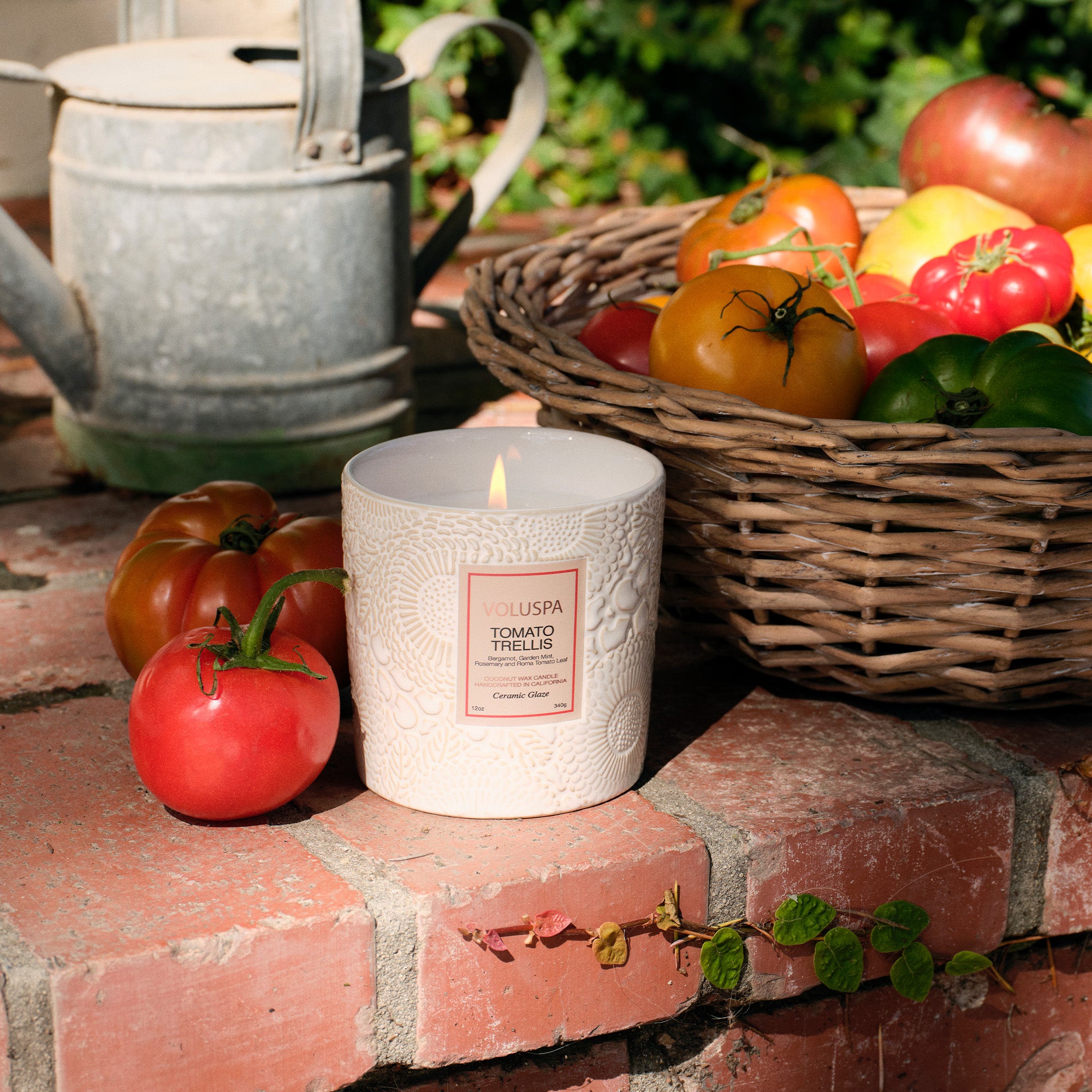 Voluspa - Tomato Trellis Ceramic Luxe Classic Candle
