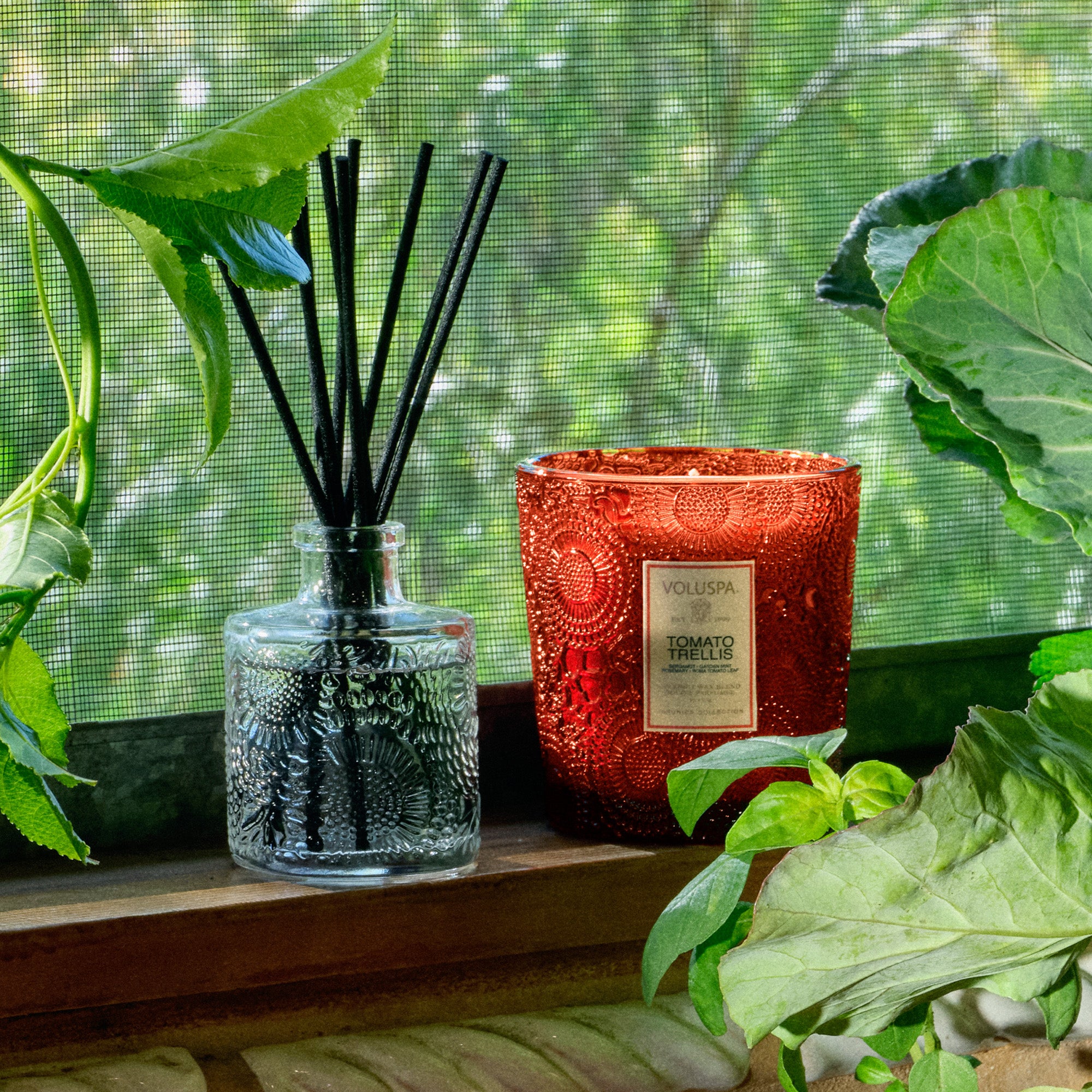 Voluspa - Tomato Trellis Classic Candle