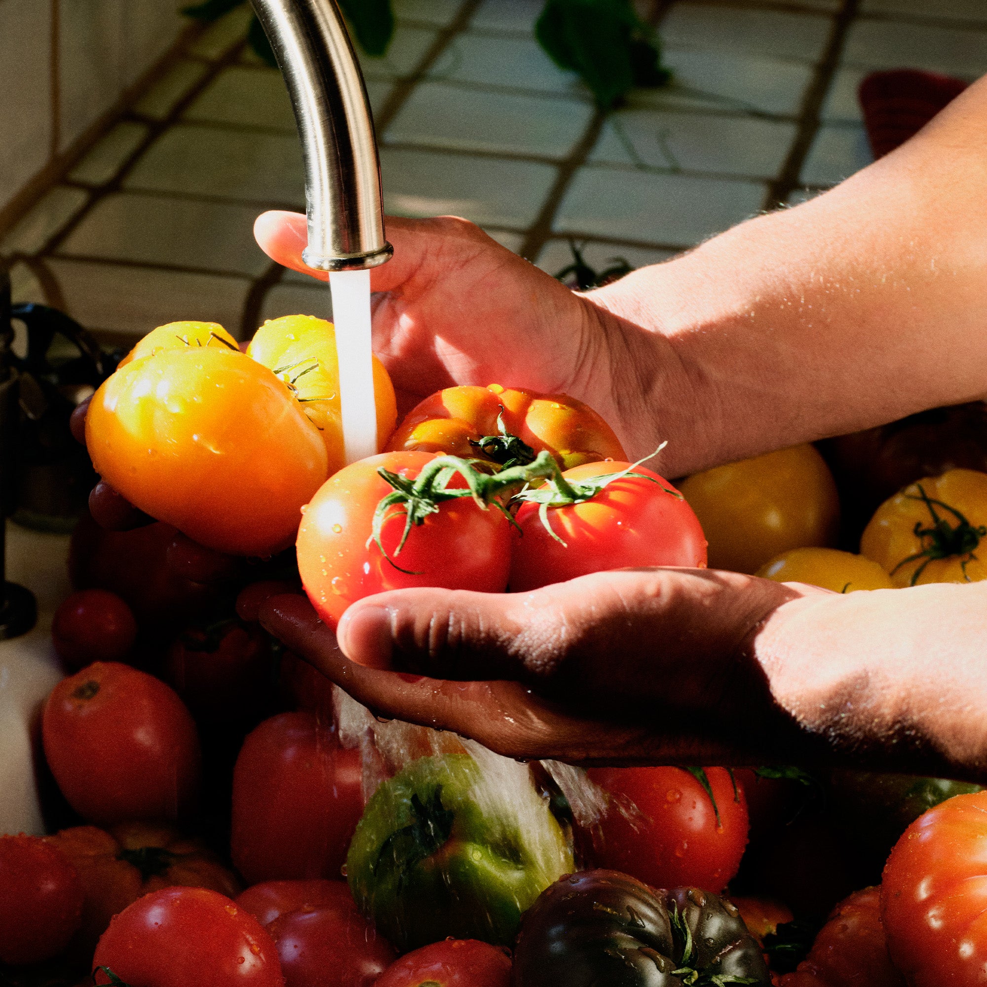 Voluspa - Tomato Trellis Large Jar Candle