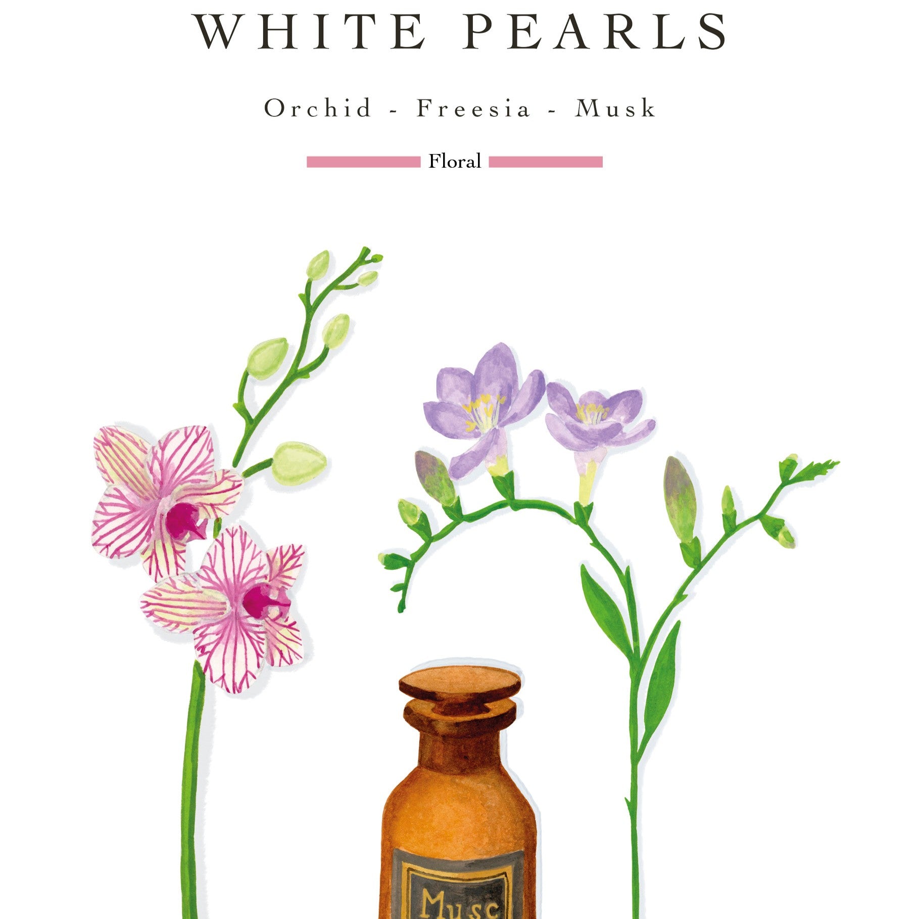 Baobab Collection - White Pearls Max10 Classique Candle