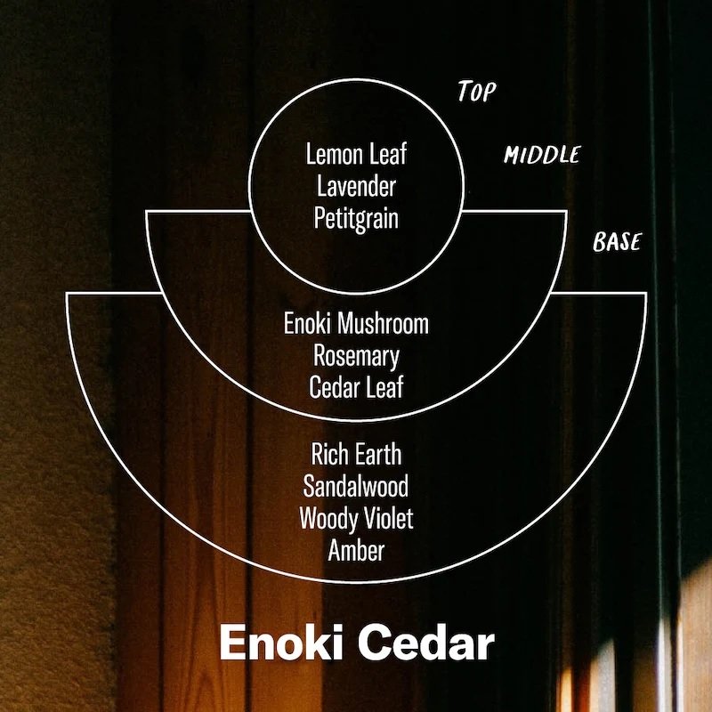P.F. Candle Co. - Enoki Cedar Diffuser