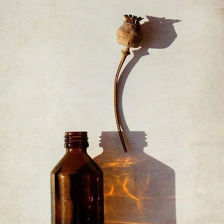 True Grace - Amber Diffuser