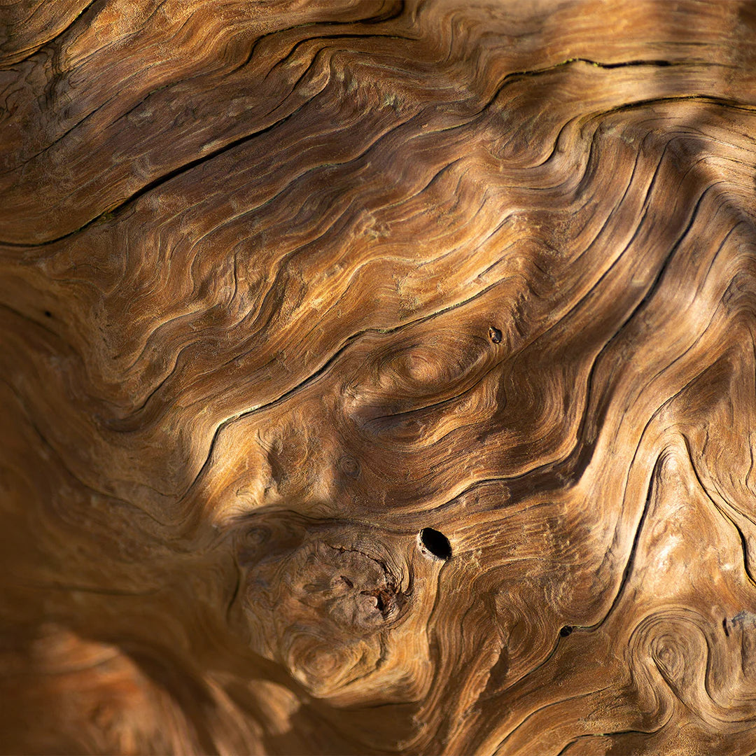 Archipelago - Maison de Noel Diffuser