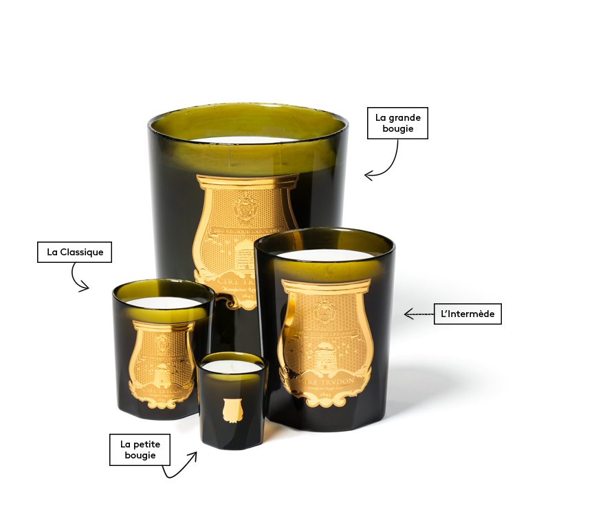 Trudon - Solis Rex (Versailles’ Wood Floors) Great Candle