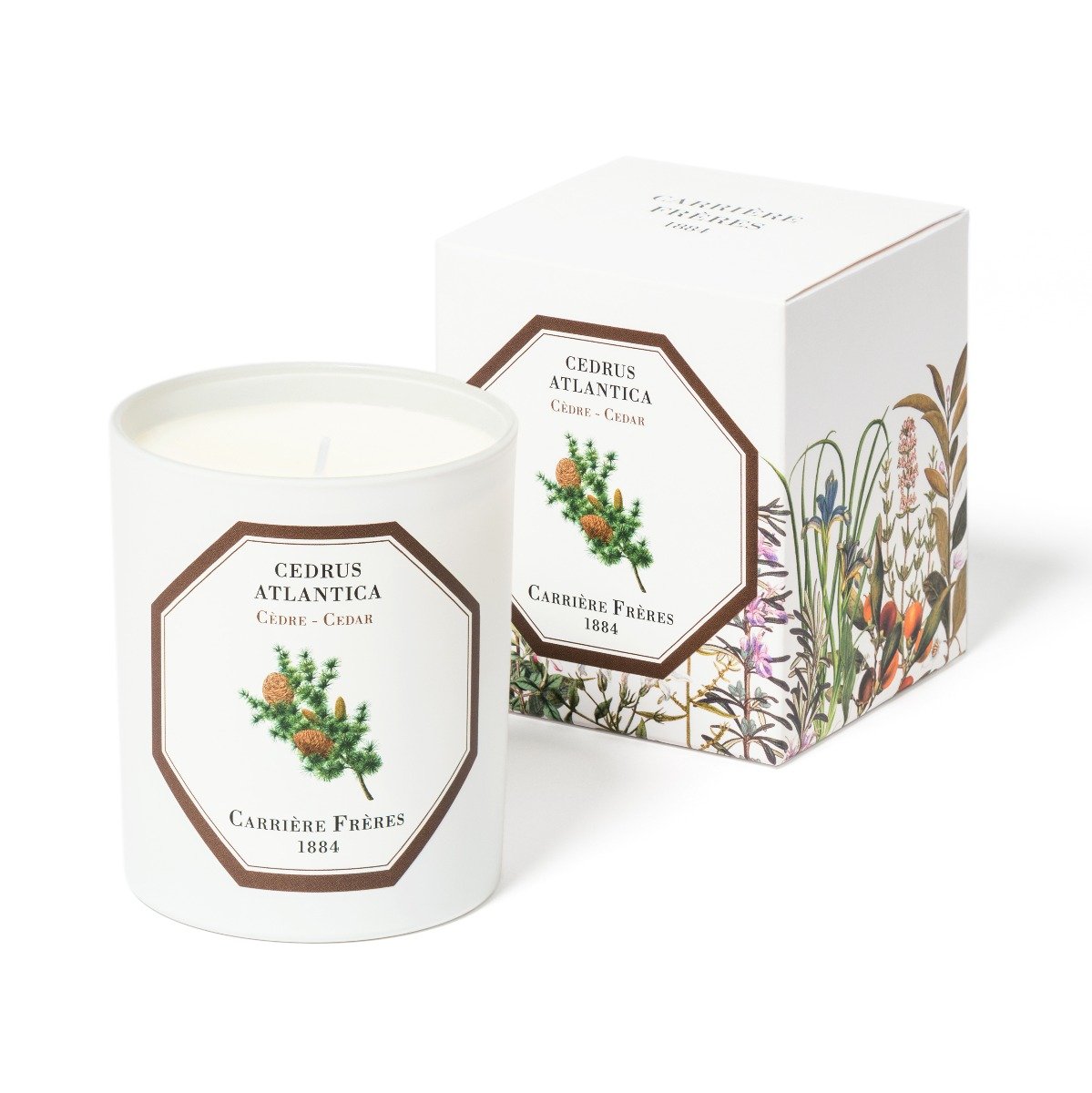 Carriere Freres - Cedar (Cedrus Atlantica) Candle
