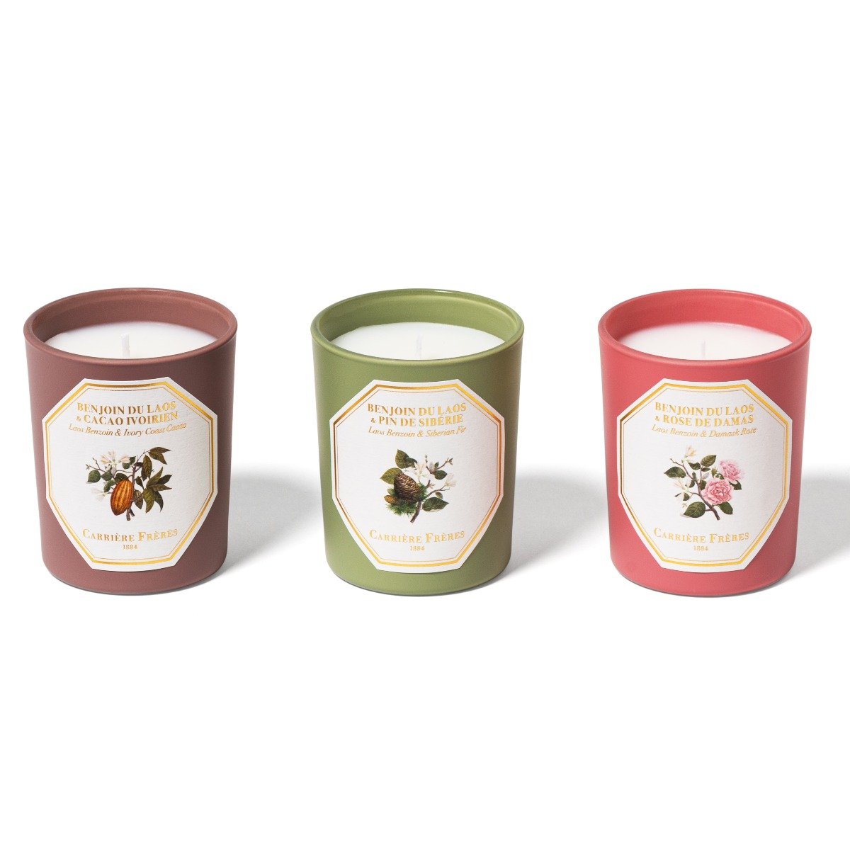 Carriere Freres - Winter Botanical Set