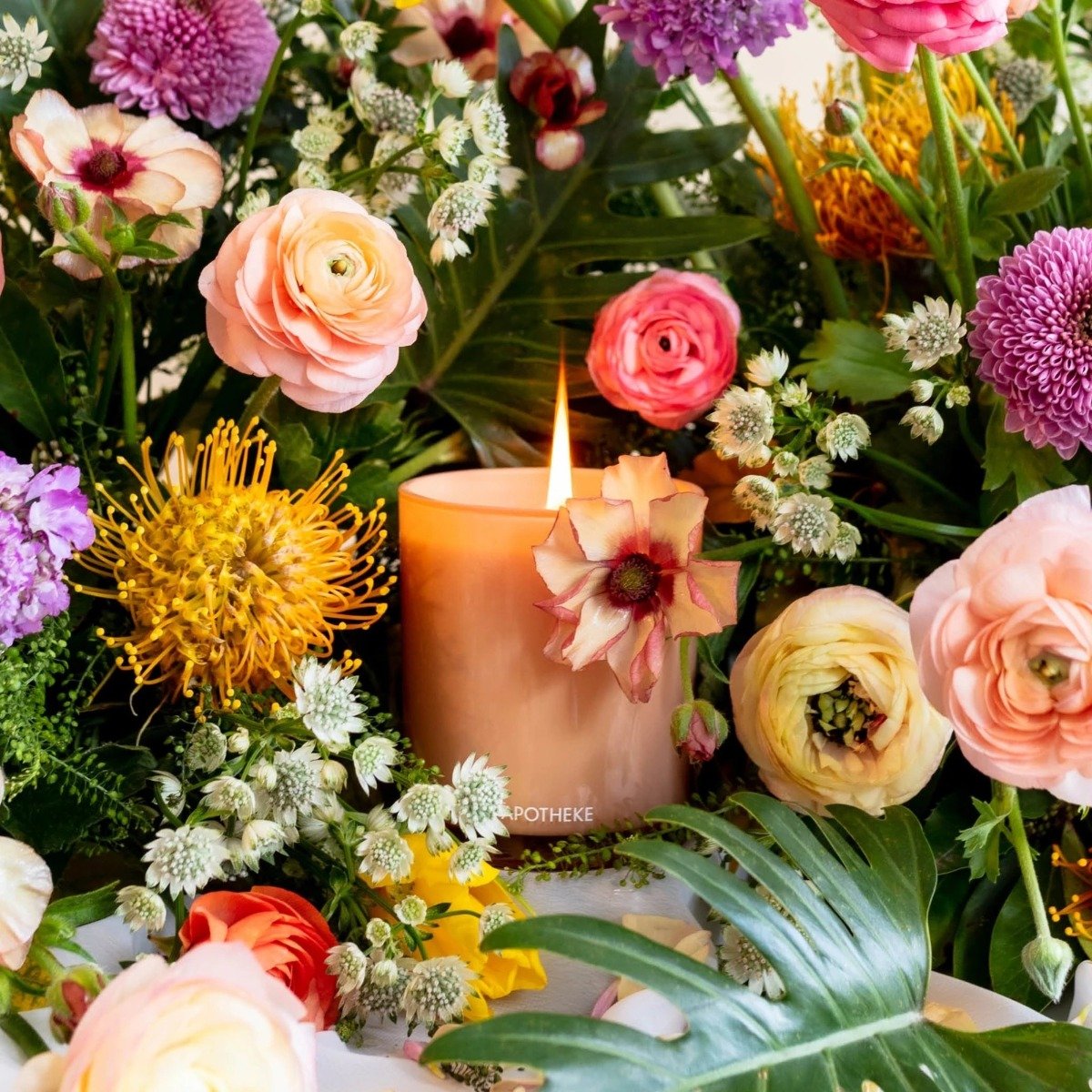 Apotheke - Cedarwood Ginger Candle