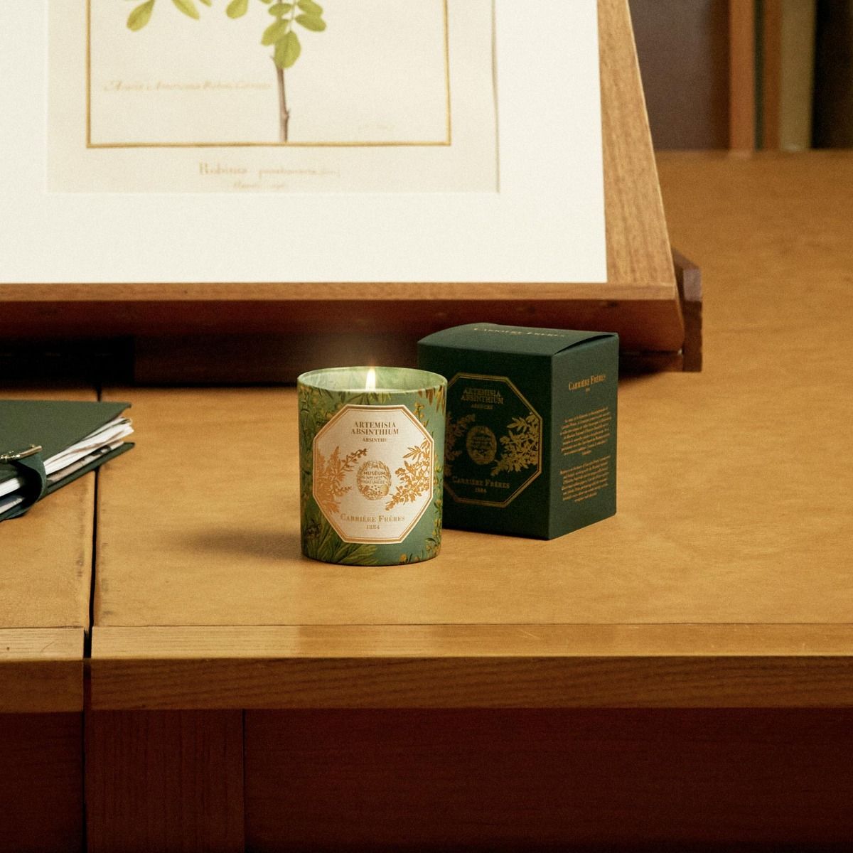 Carriere Freres - Absinthe (Artemisia Absinthium) Candle