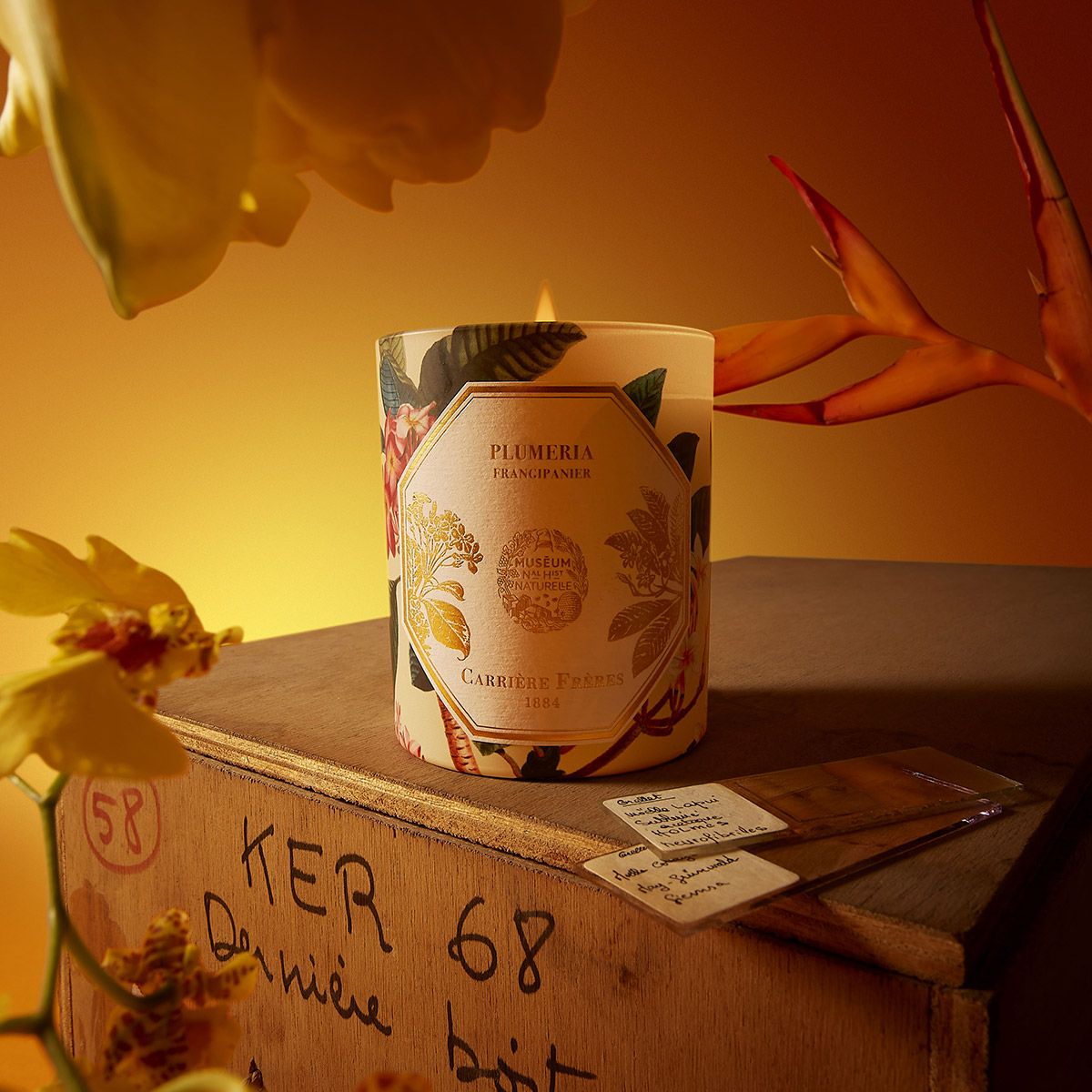Carriere Freres - Frangipani Candle