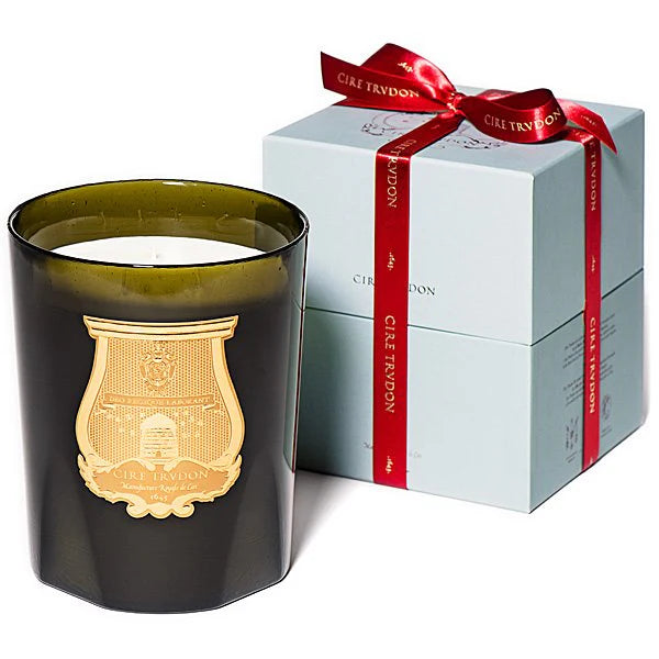 Trudon - Gabriel Grande Candle